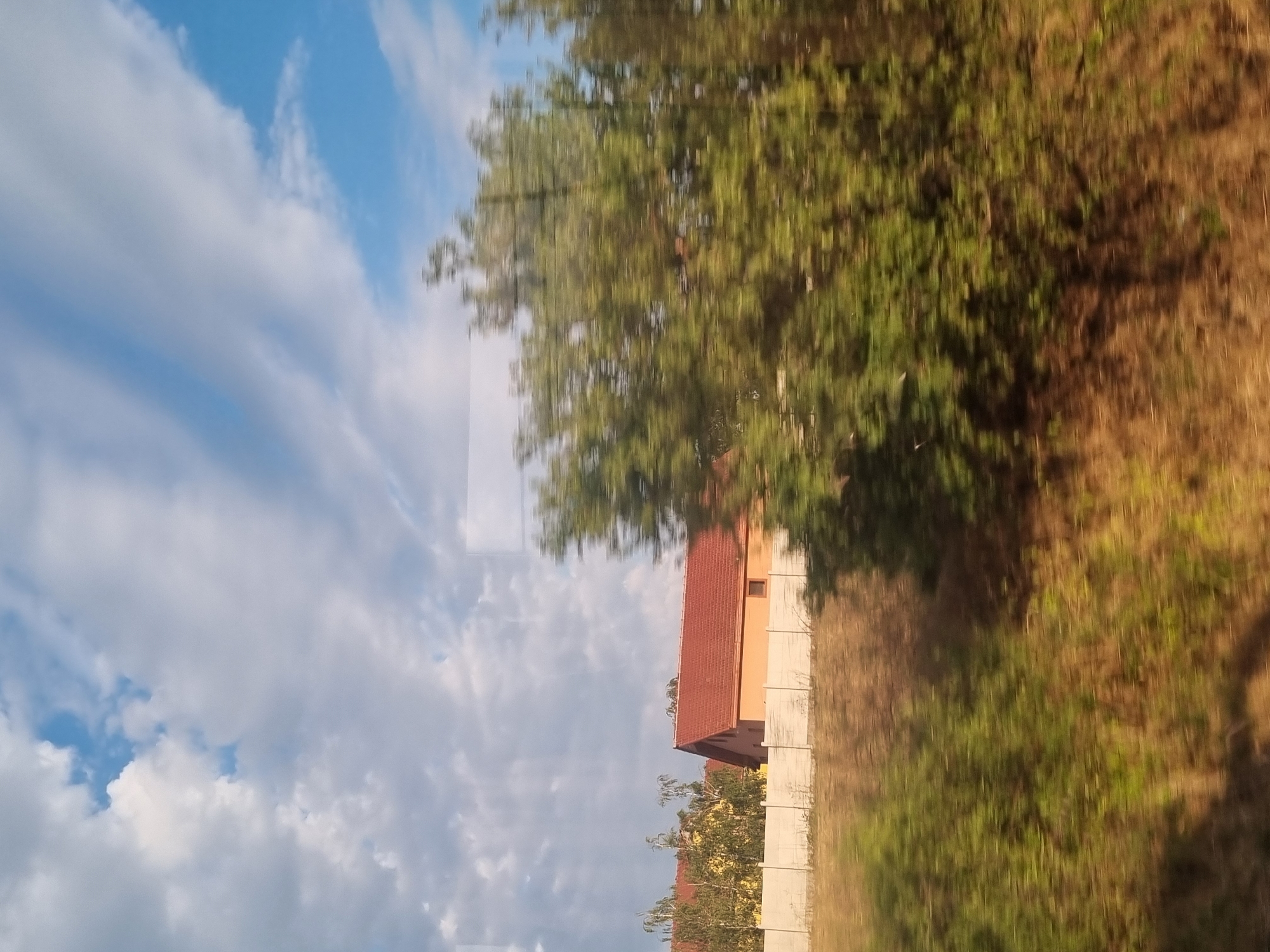 The image captures a view from a moving vehicle, likely a train or car, looking towards a residential area under a partly cloudy sky. In the mid-ground, there is a beige house with a red tiled roof, a small rectangular window, and a darker brown roof edge. Behind this house, a row of yellow buildings with red roofs is partially visible, some of which are obscured by trees. A light-colored concrete fence runs horizontally across the mid-ground, separating the residential area from the foreground. The foreground is dominated by a blurred landscape of dry grass and green vegetation, indicating motion. The sky above is a mix of bright blue patches and white clouds, some of which appear streaky, suggesting movement. The overall scene depicts a suburban or rural setting in Leș, Romania, viewed during daylight hours.