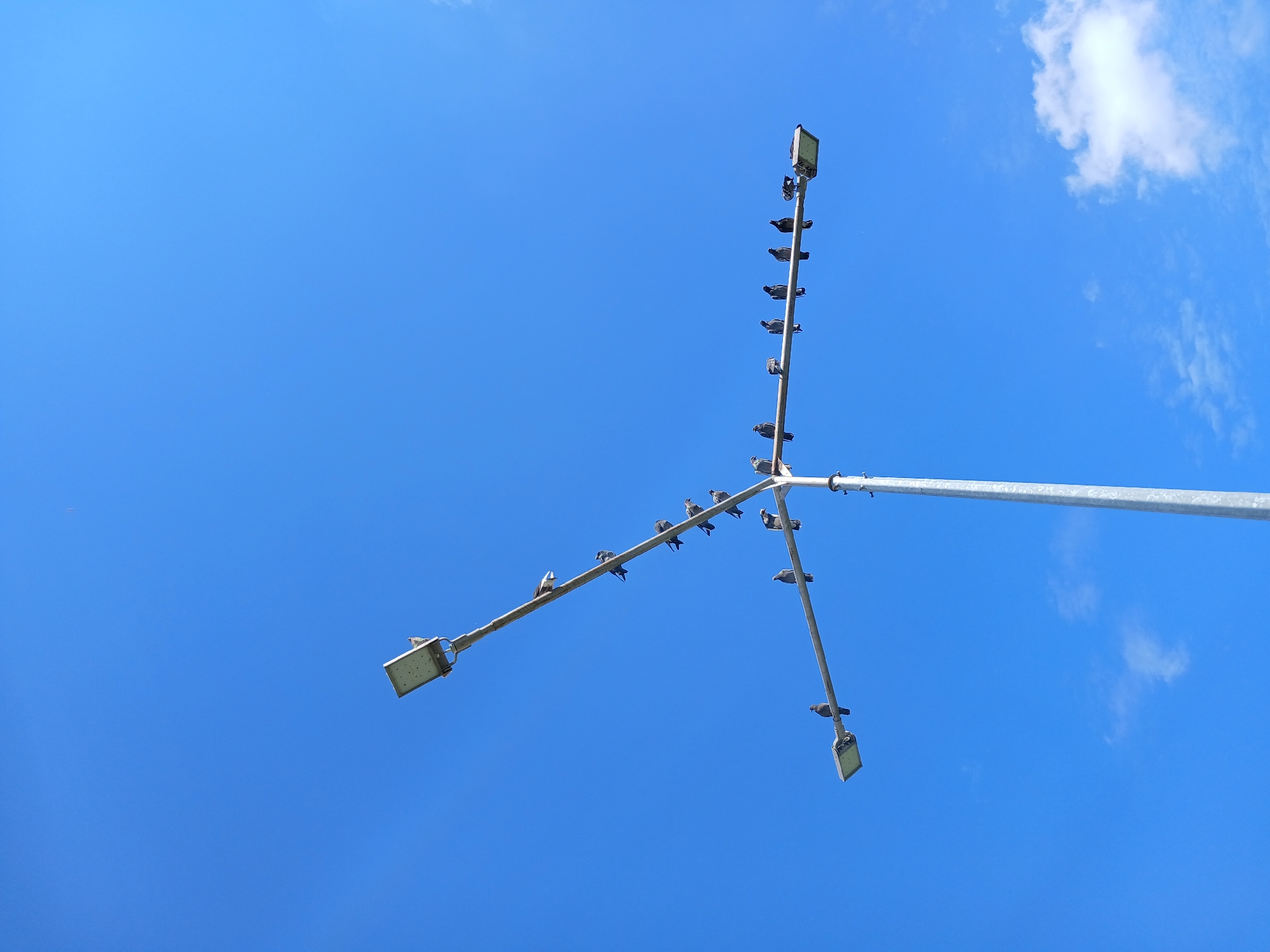 A street light with multiple arms, each supporting a lamp and a horizontal bar, is situated against a clear blue sky with scattered white clouds. Numerous pigeons are perched on the horizontal bars of the street light. The street light is made of metal and appears to be a modern design. There are no people visible in the image. The scene is set in the city of Yekaterinburg, Russia, though the exact location within the city is not specified.
