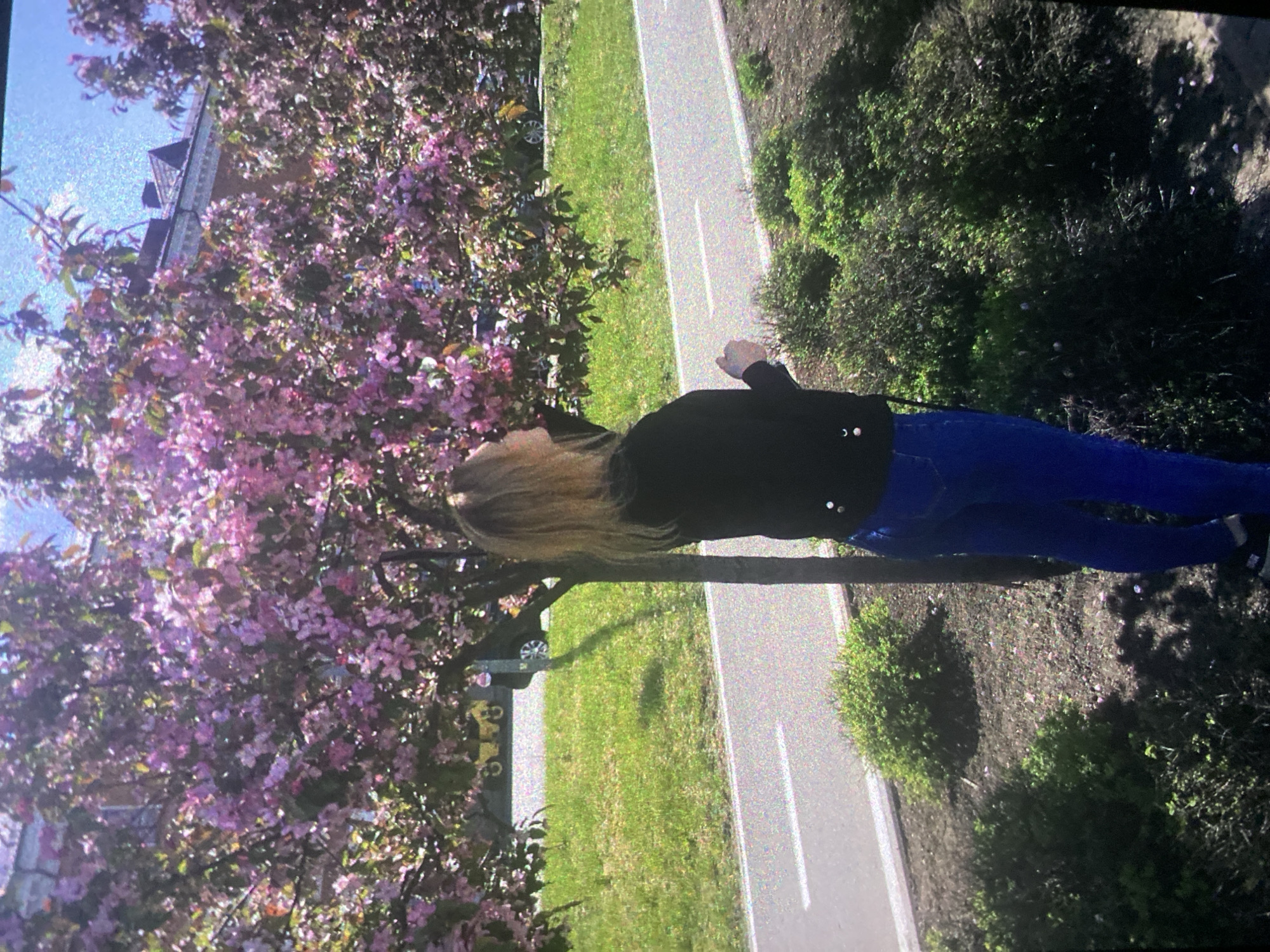 A medium shot shows a woman in dark jacket and blue jeans standing next to a blooming tree. The scene is set in Saint Petersburg, Russia. The woman stands in the background. A paved walkway stretches away in the background. To the right of the path is shrubbery. To the left of the path is grass and another flowering tree.