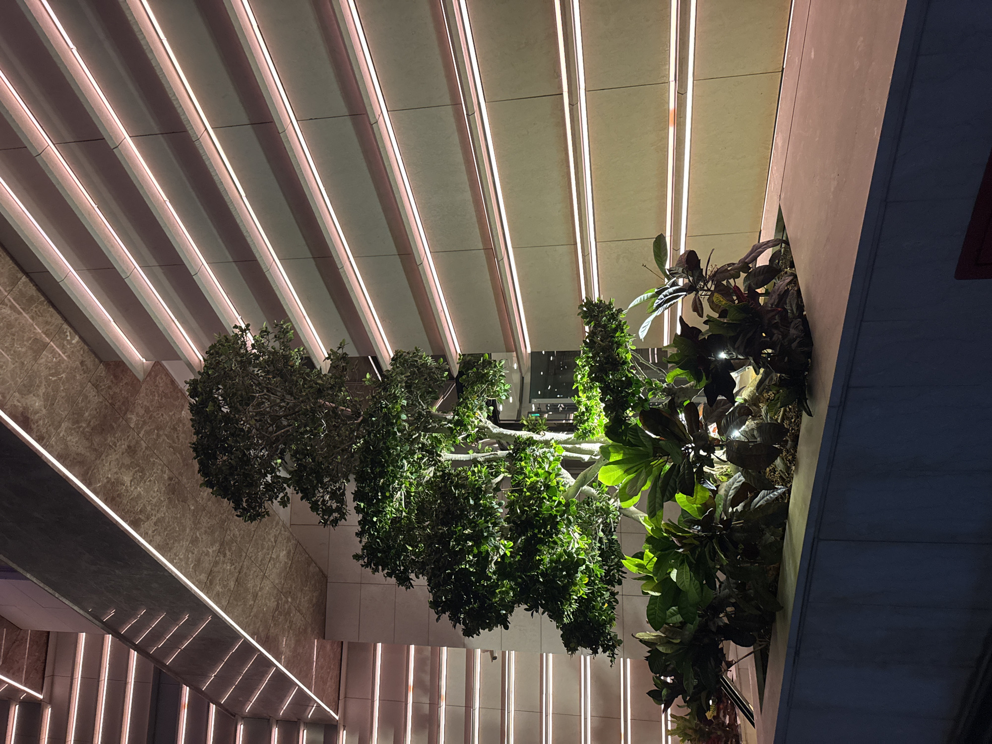 An outdoor planter box containing a variety of lush green plants and a small tree is illuminated by spotlights, casting a warm glow on the foliage. The planter is situated in front of a modern building facade, characterized by horizontal bands of beige-colored panels and continuous strips of subtle pinkish-white LED lighting. Above and to the left, a portion of the building's structure features a textured, stone-like material with integrated linear lighting. The scene appears to be at night, with the building's artificial lighting creating a dramatic contrast with the dark surroundings. The location is Agios Tychona Community, Cyprus.