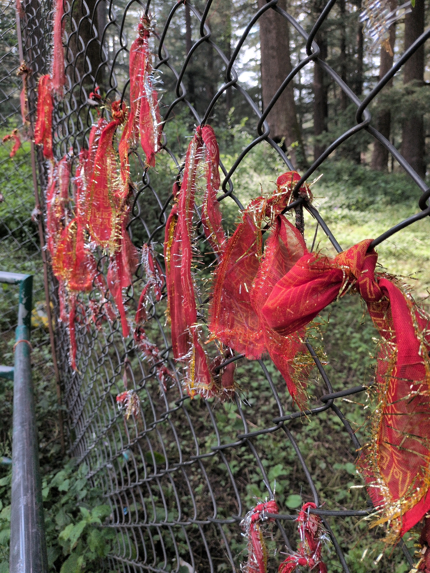In Manali, India, red prayer flags with gold and silver accents are tied to a chain-link fence. The flags are tattered and worn, some showing patterns of traditional Indian motifs. The fence is set against a backdrop of lush green foliage and tall trees, suggesting an outdoor, possibly natural or forested, setting. The overall scene evokes a sense of spirituality and tradition within a serene environment.