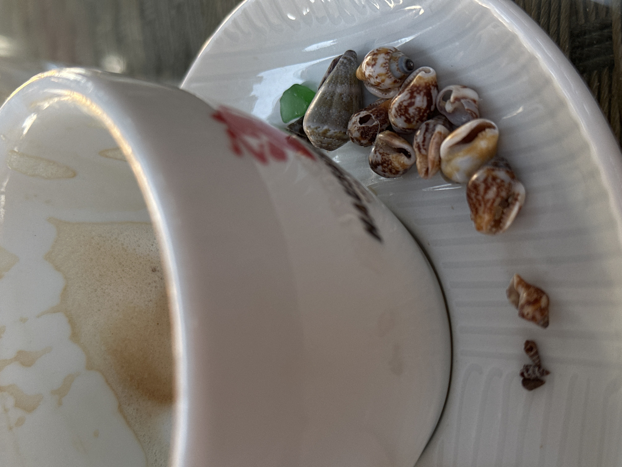 The image captures a close-up, high-angle view of a white ceramic cup and its matching saucer, presented with a tilted perspective. The cup, occupying the left side, reveals its interior with dried, light brown coffee or tea stains, suggesting it has been recently used and partially consumed. A delicate floral pattern, featuring hints of pinkish-red and dark brown, is visible on the cup's exterior rim.
The saucer, situated to the right, holds a collection of small marine treasures. Predominantly, there are several small seashells of varying shapes and sizes, mostly displaying intricate brown and white patterns. Among them, a distinct piece of smooth, translucent green sea glass adds a pop of color. The surface of the saucer has a subtle ridged texture.
The scene is illuminated by bright natural light, casting soft shadows and highlighting the rim of the cup, indicating it is daytime. The background is softly blurred, suggesting a shallow depth of field and keeping focus on the cup and contents of the saucer. Given the location context of Šušanj, Montenegro, the seashells and sea glass are likely souvenirs collected from the local beaches, offering a serene, coastal-themed still life arrangement. There is no visible text in the image.