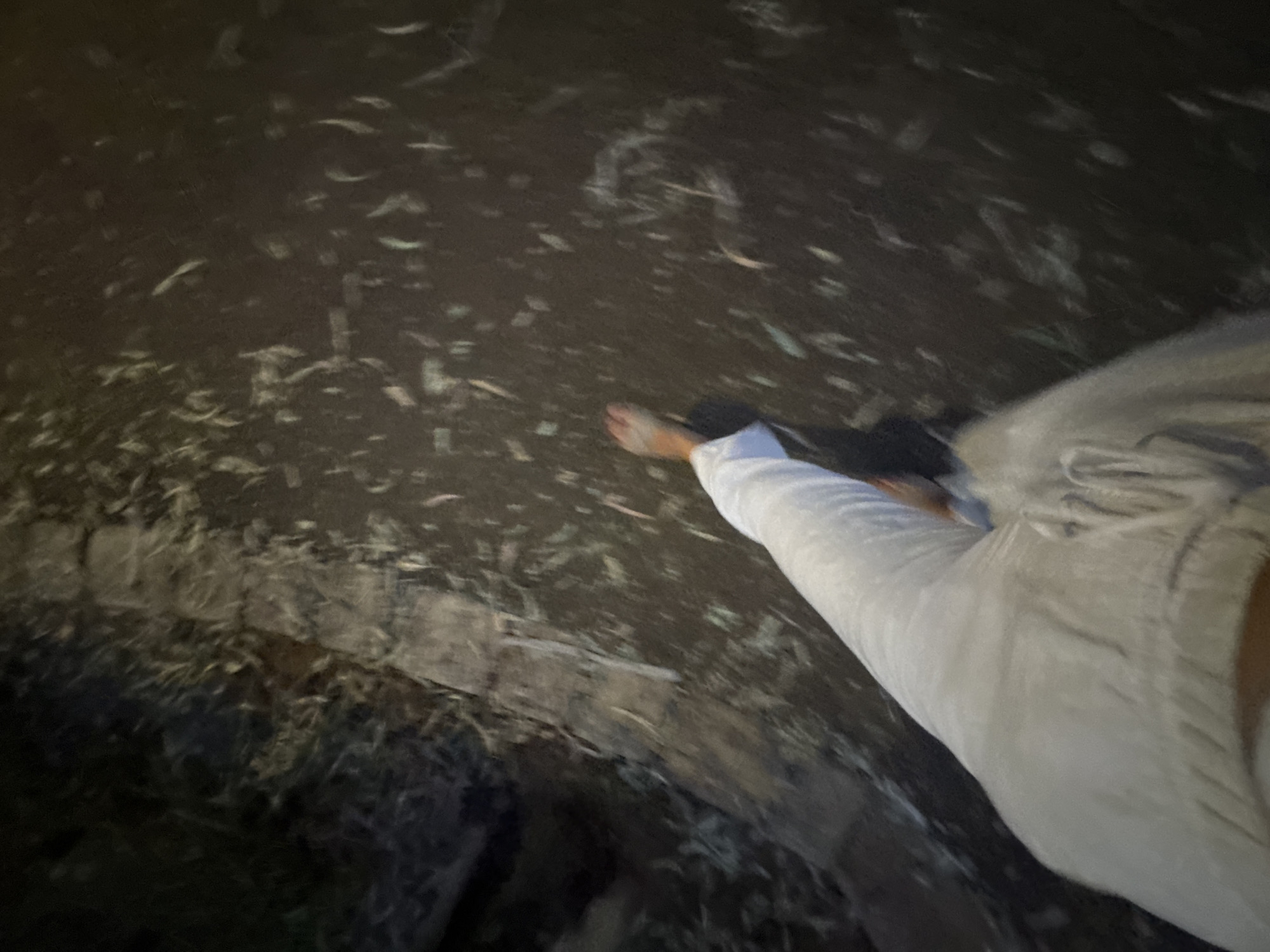 The image shows a person walking barefoot on a sidewalk covered with leaves at night. The person is wearing white pants. The location appears to be a park or a quiet street in Ramat Gan, Israel, given the presence of sparse vegetation and a somewhat unkempt sidewalk. The lighting is dim, suggesting it is evening or night. The motion blur indicates the person is in the process of walking.