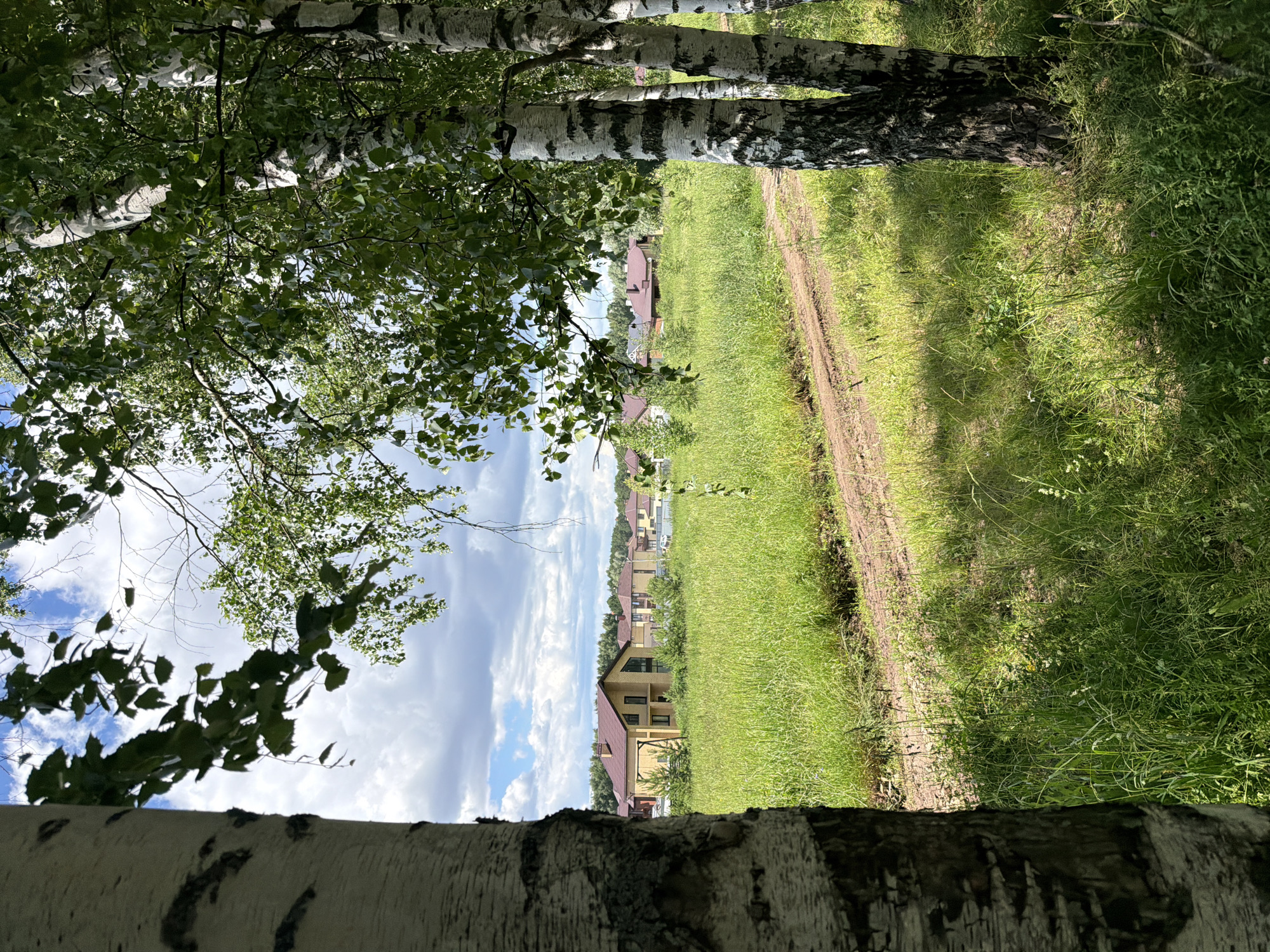 The image depicts a rural landscape in Kazan, Russia, on a bright, sunny day with some clouds. The foreground is dominated by the textured bark of birch trees, with their white trunks and dark markings prominently displayed. Lush green grass and foliage fill the midground and extend into the background. A dirt path meanders through the grass, suggesting a rural or semi-rural setting.
In the distance, several houses with red-tiled roofs are visible, nestled amongst the trees. The architecture of the houses, with their gabled roofs and light-colored walls, is typical of suburban or rural residences. The overall scene evokes a sense of tranquility and natural beauty.
The lighting suggests it is daytime, likely late morning or early afternoon, given the bright sunlight and clear shadows. The presence of healthy green grass and leaves indicates a warm season, possibly summer. The cloudy sky adds a dynamic element to the otherwise serene atmosphere.
There is no visible text in the image. The focus is on the natural scenery and the residential elements within it. The image seems to capture a peaceful moment in a picturesque rural environment.