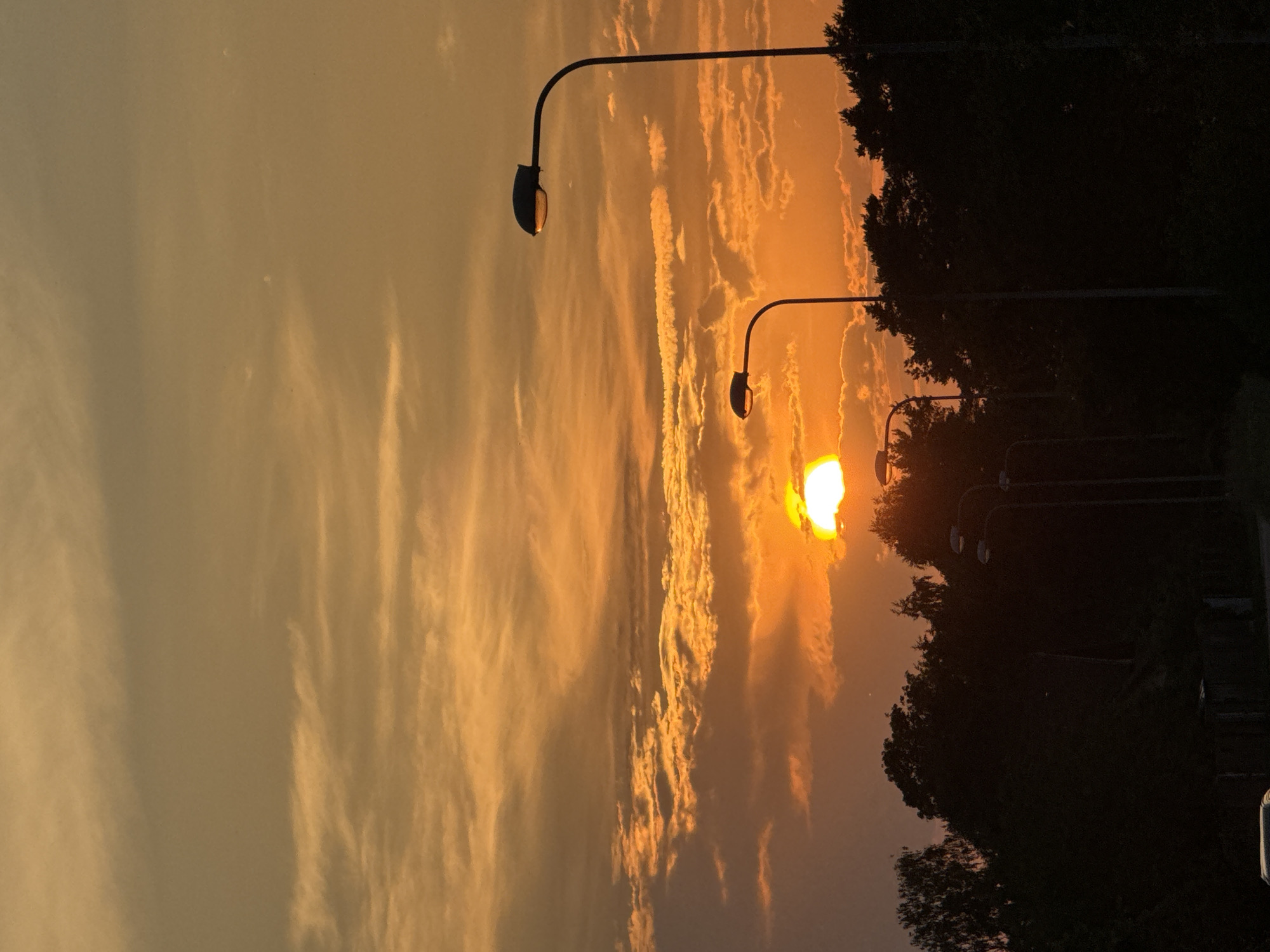 The image shows a sunset over a treeline with several streetlights visible in silhouette. The sky is filled with orange and yellow clouds, and the sun is partially obscured by clouds. The treeline consists of dark, silhouetted trees, some of which appear to be coniferous. In the foreground, there are several streetlights, each with a curved arm and a dark, enclosed light fixture. The overall impression is that of a suburban or semi-rural area at dusk. The location is Riga, Latvia, indicated by the presence of typical street lighting infrastructure and the commonality of such sunsets in the region.