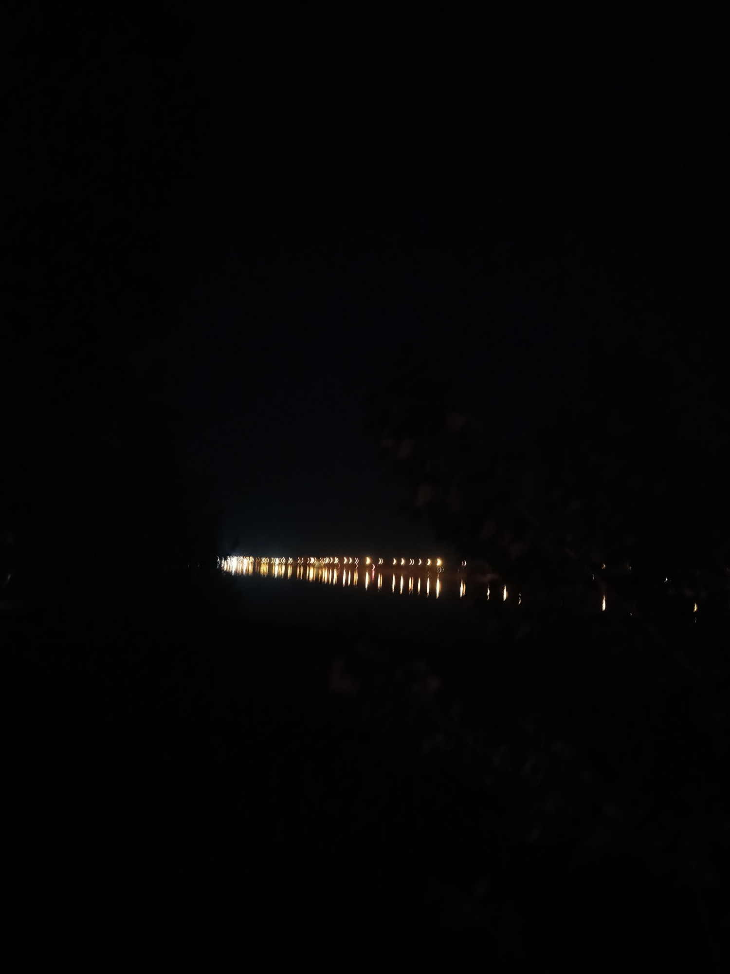 The image depicts a nighttime view of the Vakh River in Noviy Urengoy, Russia. The river reflects a line of lights from structures along the opposite bank. The foreground is mostly dark, with silhouetted foliage visible on the right. The overall scene is dimly lit.