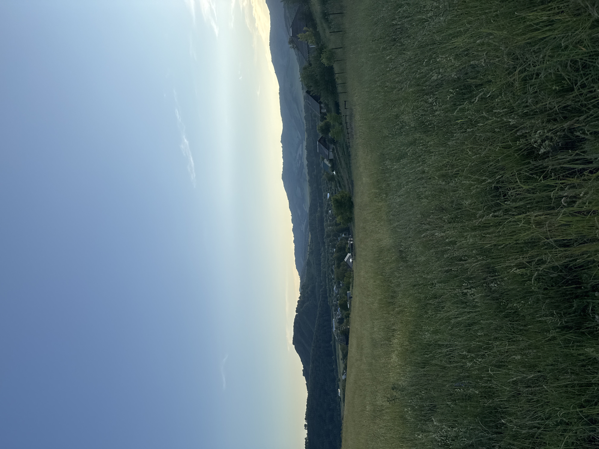This media file depicts a rural landscape in Soloneshnoye, Russia, likely during the late afternoon or early evening. The scene is dominated by a vast expanse of green grass in the foreground, stretching towards a rolling hillside. Several houses and buildings are nestled into the hillside, surrounded by trees, suggesting a small village or scattered settlements. The sky is a clear, pale blue, transitioning to a soft yellow or white glow near the horizon, indicative of the sun setting or rising. A faint wisp of a cloud can be seen in the upper left portion of the image. The overall impression is one of tranquility and natural beauty. There is no visible text in the image.