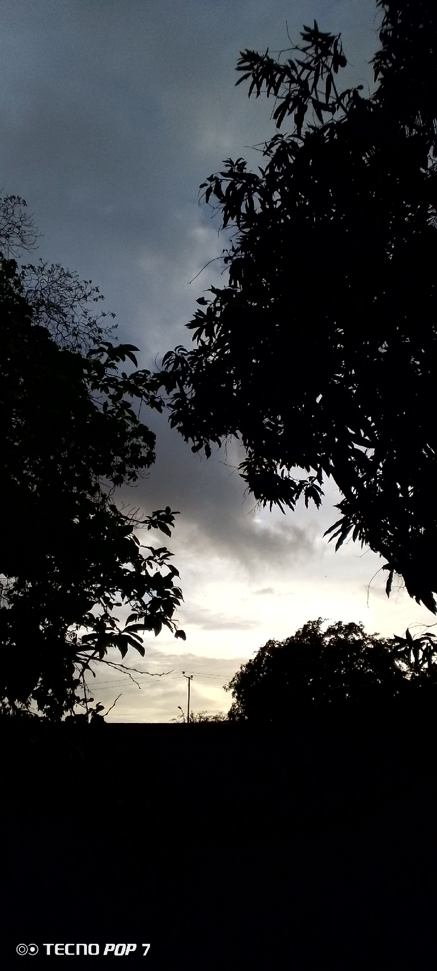 The image depicts a silhouetted landscape under a cloudy, twilight sky, with the bottom left corner featuring a "TECNO POP 7" watermark. The foreground is dominated by the dark silhouettes of trees, with branches and leaves visible against the lighter sky. In the middle ground, a faint silhouette of a utility pole and possibly some distant vegetation can be discerned. The sky is characterized by a gradient of dark grays and lighter whites, suggesting the transition from day to night or the aftermath of a storm. The overall scene conveys a sense of calm and perhaps a touch of melancholy due to the dim lighting and the silhouetted elements. The context provided about Altagracia, Venezuela, suggests this is a common natural scene in that region during twilight.