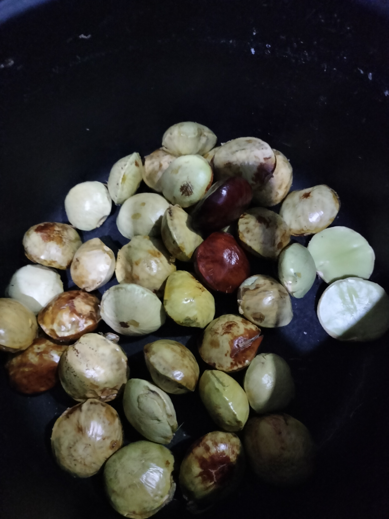 In Rantopanjang, Indonesia, a dark, shallow container, possibly a bowl or pot, holds a collection of jengkol seeds. The seeds are mostly light green to yellowish-brown, with some exhibiting darker reddish-brown patches. Their surfaces are smooth and slightly shiny, indicating they may have been recently washed or are naturally moist. The jengkol seeds are scattered throughout the container, some overlapping. The lighting in the image is dim, casting shadows and highlighting the textures of the seeds. The background is predominantly black, suggesting the container itself or the surrounding environment. There are no people visible in the image.