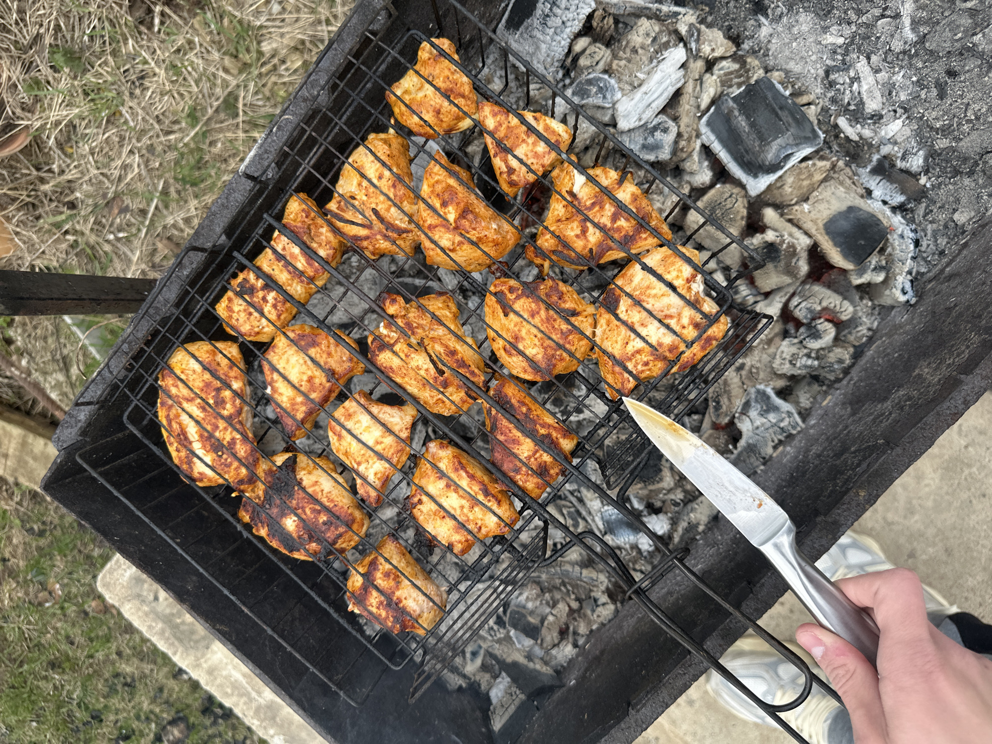 An overhead, slightly angled shot captures an outdoor grilling scene in Chaikovsky, Russia. The central element is a rectangular black metal barbecue grill, holding glowing coals and white ash at its base. Placed over the coals is a metal grate, on which numerous pieces of marinated chicken are cooking. The chicken pieces, likely breast or thigh, are cut into irregular shapes, exhibiting a reddish-brown color from seasoning or marinade and distinct char marks from the grill, indicating they are in the process of being cooked.
In the lower right portion of the image, a hand is visible, holding a silver knife with a metallic handle. The tip of the knife is positioned over the grilling chicken, suggesting the person is either turning the meat, checking its doneness, or preparing to handle it. Part of a light-colored athletic shoe is also visible near the hand.
The immediate surroundings beyond the grill feature dry, light brown grass with some faint green patches, indicative of an outdoor, possibly backyard or rural setting. The lighting appears to be natural daylight, suggesting it is daytime. There is no visible text in the image. The overall scene depicts a casual outdoor cooking activity, preparing food over an open fire.