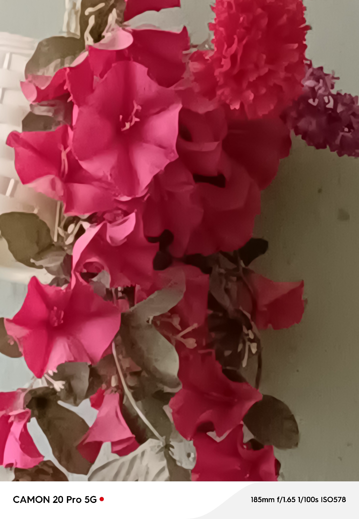 The image shows a close-up of pink flowers and greenery, with a hint of a white woven basket in the background. The flowers are vibrant and detailed, with some appearing to be in full bloom while others are still unfurling. The greenery adds depth and texture to the composition. The lighting appears to be natural, casting soft shadows and highlighting the delicate features of the petals. The overall impression is one of natural beauty and tranquility. The lower part of the image contains text indicating "CAMON 20 Pro 5G" and "185mm f/1.65 1/100s ISO578", suggesting this is a photograph taken with a specific camera model and settings. There is no information in the image to suggest it was taken in Yakutsk, Russia, or any other specific city.