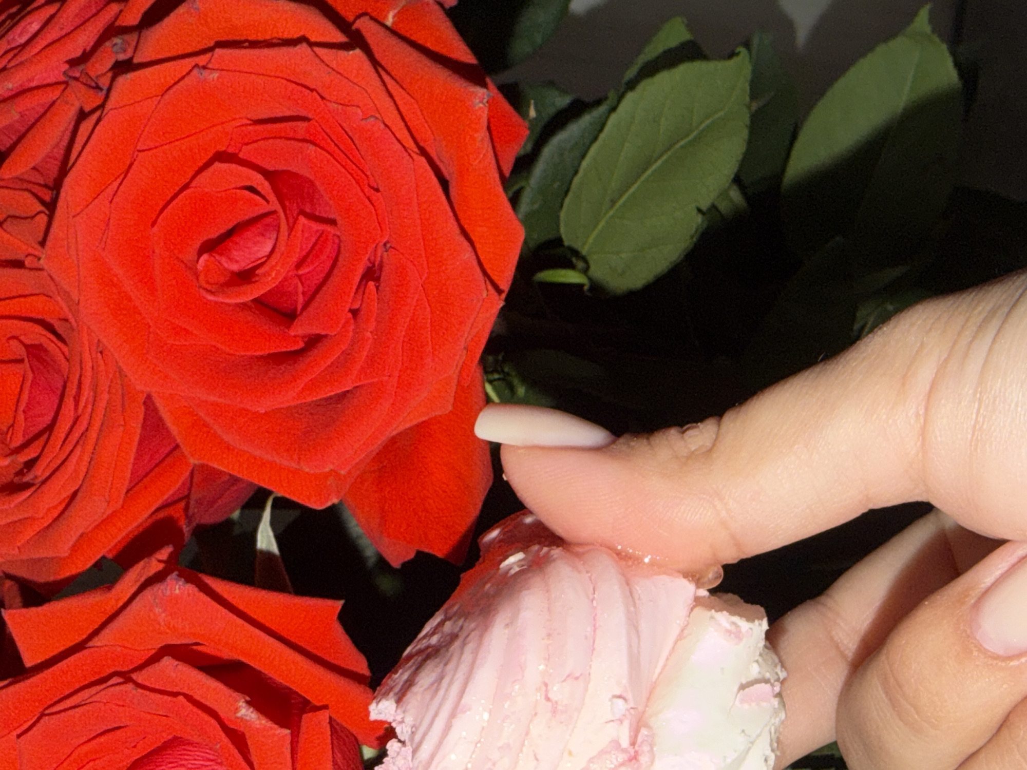 A close-up shows a hand with manicured nails touching a flower with light pink petals covered in small, glittering specks. The flower is surrounded by several red roses with deep, velvety petals. Green leaves are visible in the background. The setting appears to be indoors with dark, ambient lighting. The location in the city of Chaikovsky, Russia, is not discernible from the visual information provided.