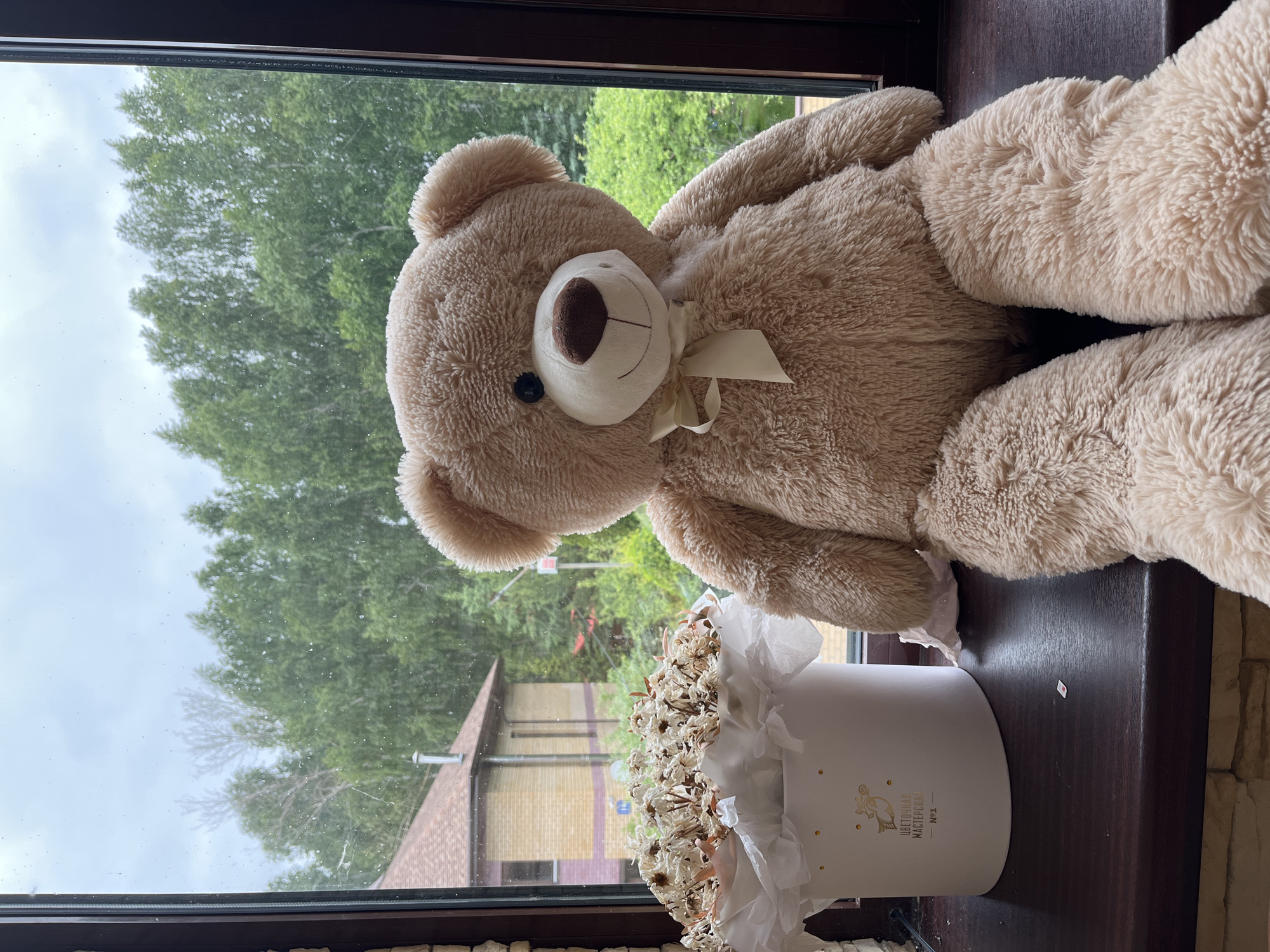 A large, light brown plush teddy bear and a white cylindrical flower box are arranged on a dark brown windowsill. The teddy bear, positioned on the left, features a white muzzle, dark button eyes, and a cream-colored bow tied around its neck, showcasing soft, shaggy fur. To the right, the flower box contains dried white flowers, possibly daisies, and is adorned with gold decorative patterns and text.
Through the window, an overcast sky is visible above a dense green tree canopy. Below the trees, parts of a house with a brown shingled roof and light-colored brick walls can be seen. The window glass is visibly smudged with numerous small spots.
The white flower box displays the text "ЦВЕТОЧНАЯ МАСТЕРСКАЯ" (Tsvetochnaya Masterskaya, meaning "Flower Workshop") and "№1" (No. 1) in gold lettering. A small, red rectangular object, resembling a SIM card, rests on the windowsill next to the flower box. The scene depicts a calm indoor setting looking out onto a residential or suburban area during a cloudy daytime, specifically located in Ореховка, Russia.
