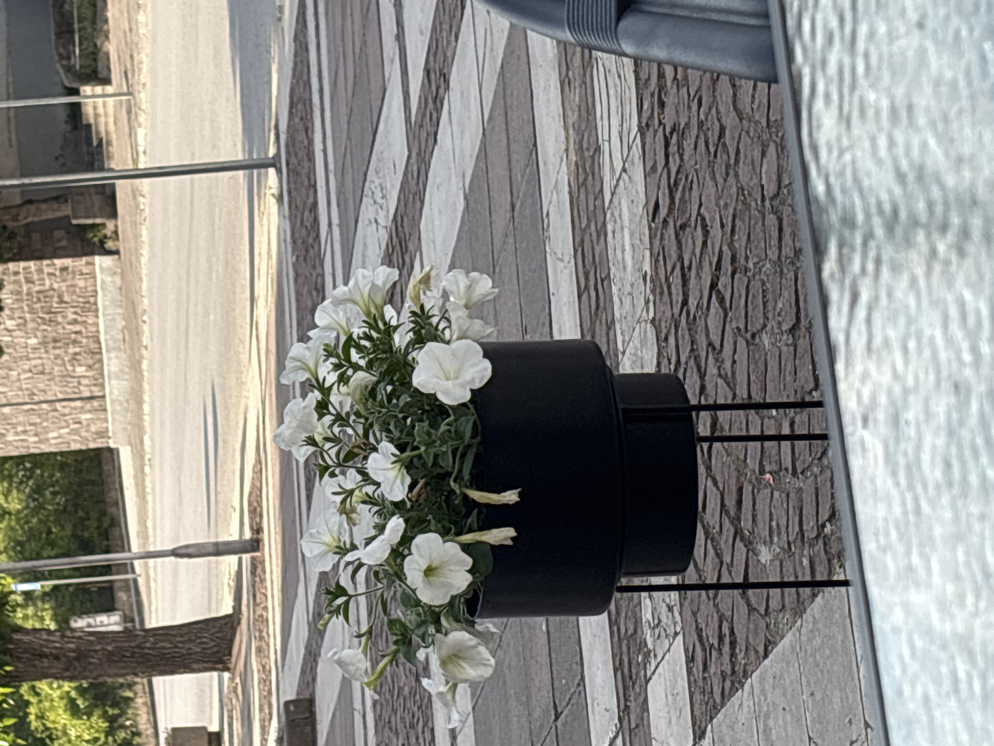A black flower pot with white flowers sits on a wrought iron stand on a pedestrian walkway. The walkway is paved with gray and white stones in a herringbone pattern. A street with buildings and greenery is visible in the background. The location is likely Garmen, Bulgaria.