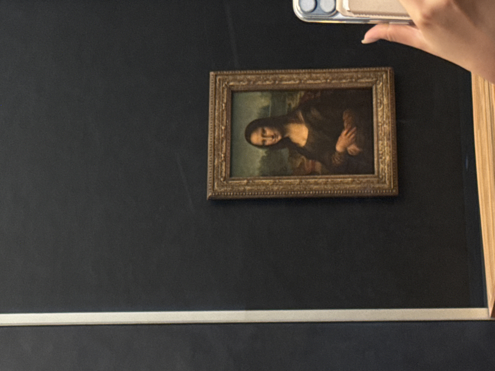 The image depicts the Mona Lisa painting in the Louvre Museum in Paris, France. The painting is in a gilded frame and is hanging on a dark wall. A person is taking a photo of the painting with a smartphone. A horizontal white line is visible near the bottom of the frame.