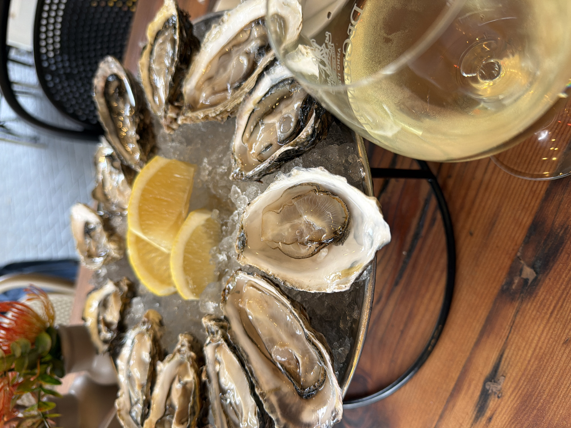 This close-up, high-angle shot captures a platter of fresh oysters arranged on a bed of crushed ice, accompanied by bright yellow lemon wedges. Approximately a dozen shucked oysters, glistening with moisture, are neatly displayed on a round, dark-colored tray with a metallic rim.
In the upper right of the frame, a clear wine glass filled with a light-colored beverage, likely white wine or champagne, is prominently featured. Partial text, appearing to be a brand name like "DEBO..." followed by more letters, is faintly visible on the surface of the wine glass, possibly from a label or reflection.
The platter rests on a warm-toned wooden table, showcasing its distinct grain. In the blurred background to the upper left, part of a dark, possibly metal, chair or table component with a perforated pattern is visible. A decorative element, resembling an orange or red protea-like flower with green foliage, is partially seen in the bottom left corner. The scene suggests a leisurely dining experience, possibly at a restaurant or bar in Cape Town, South Africa, enjoying fresh seafood and a drink. The lighting is bright, emphasizing the freshness of the food.