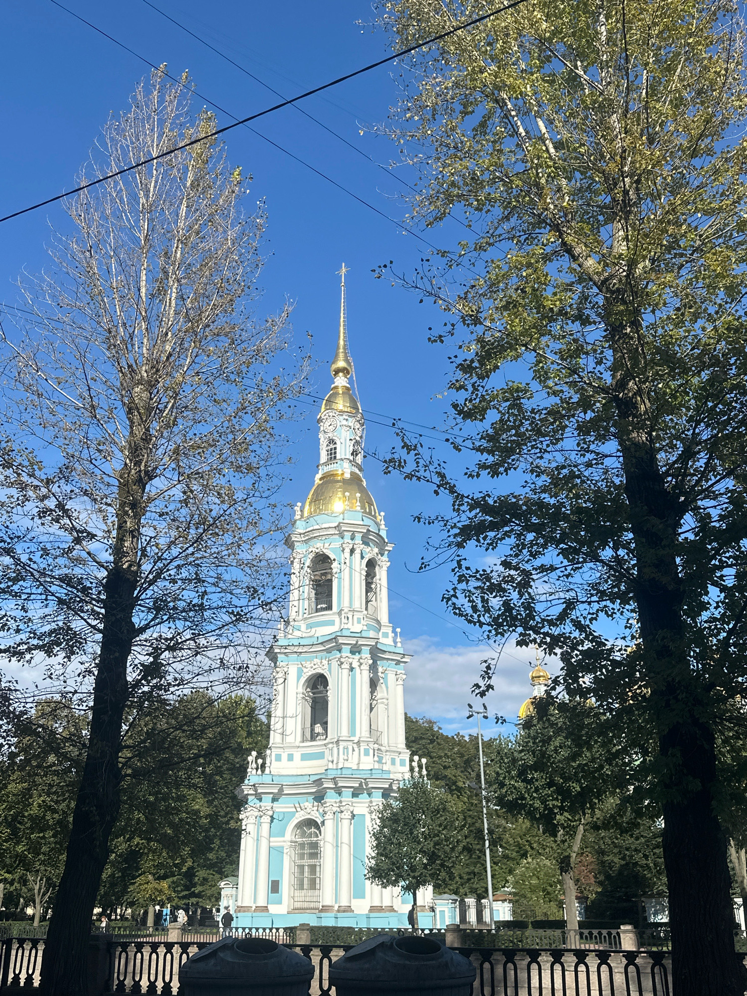 A tall, ornate bell tower with a golden spire and blue and white accents stands prominently against a clear blue sky. Two mature trees with sparse and full foliage frame the bell tower from the left and right respectively. The bell tower appears to be part of a larger church or cathedral complex, as evidenced by a glimpse of a golden dome behind the trees on the right. The lower portion of the image reveals a black metal fence with ornate designs, and behind it, a park-like setting with more trees and a few figures walking. The scene suggests a sunny day in a historic urban environment. This is the bell tower of Saint Nicholas Naval Cathedral in Saint Petersburg, Russia.