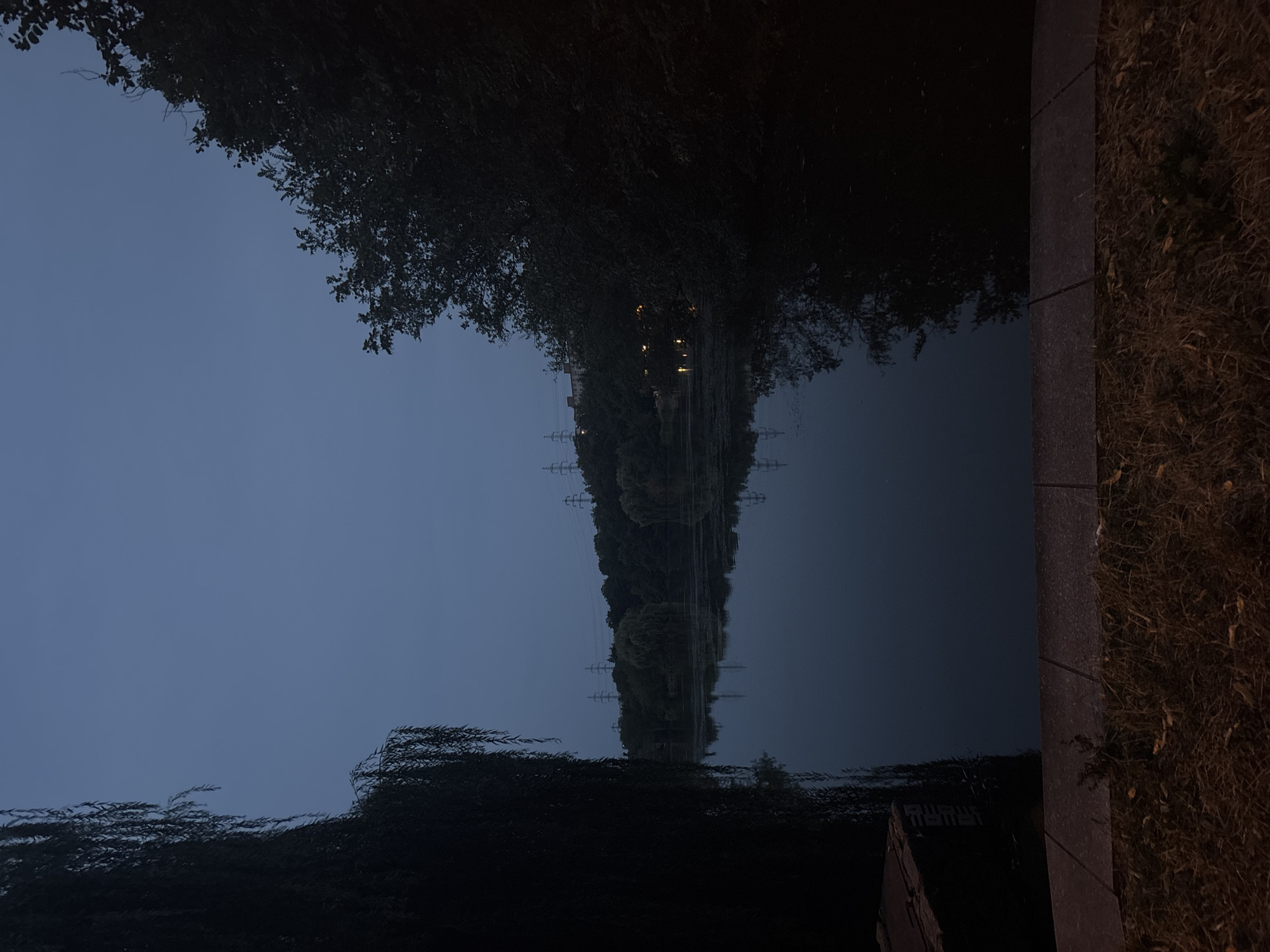 This is a nighttime photograph of a tranquil lake scene in Prague, Czechia. The sky is a deep, twilight blue, with no visible stars. On the left side of the frame, a large weeping willow tree drapes its branches, partially obscuring the view of the lake. On the right, the dense foliage of another tree creates a dark silhouette against the sky. The lake itself is calm and reflective, mirroring the muted colors of the sky and the surrounding trees. In the distance, the treeline is dotted with lights, suggesting a settlement or urban area beyond the immediate lakeside. Several power pylons are also visible rising above the trees in the background, indicating the presence of infrastructure. A paved walkway or embankment runs along the bottom of the frame, with dry grass and fallen leaves scattered on the ground in front of it. Part of a dark, rectangular object, possibly a submerged structure or a boat, is visible on the left edge of the lake, near the willow tree. The overall atmosphere is one of quiet and stillness, characteristic of a peaceful evening by the water.