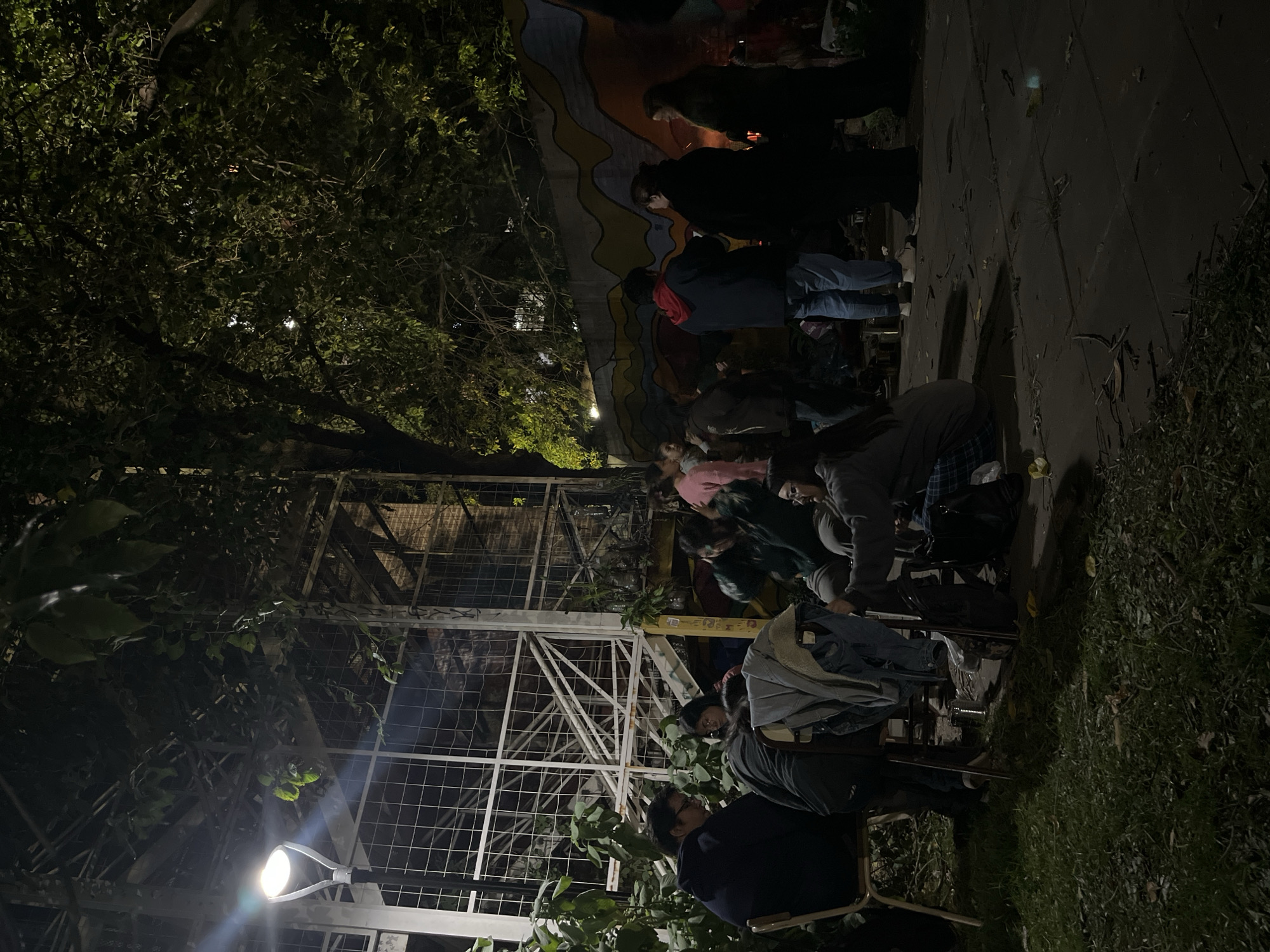 This nighttime image captures a social gathering in an outdoor setting in Buenos Aires, Argentina. The scene is illuminated by artificial lights, including a bright street lamp in the lower left, casting glow through dense tree foliage and across the area.
Numerous individuals are present, some seated on chairs while others stand, suggesting a casual event or an open-air café. They appear to be mostly young adults, dressed in casual clothing like jackets and hoodies, indicating potentially cool evening weather. Their postures suggest conversation and relaxation.
The setting combines natural elements with man-made structures. Lush green trees with dense leaves dominate the left and upper portions of the image, while grass and scattered leaves cover the ground on the right. A dark paved area runs through the middle-right. A prominent feature is a large, intricate metal grid structure or scaffolding, possibly an old greenhouse frame or an artistic installation, with vines growing around it. In the background, behind some of the standing people, a colorful abstract mural with wavy lines and blocks of yellow, orange, and blue decorates a wall.
The overall atmosphere is communal and relaxed under the low light of the night. No discernible text is visible in the image.