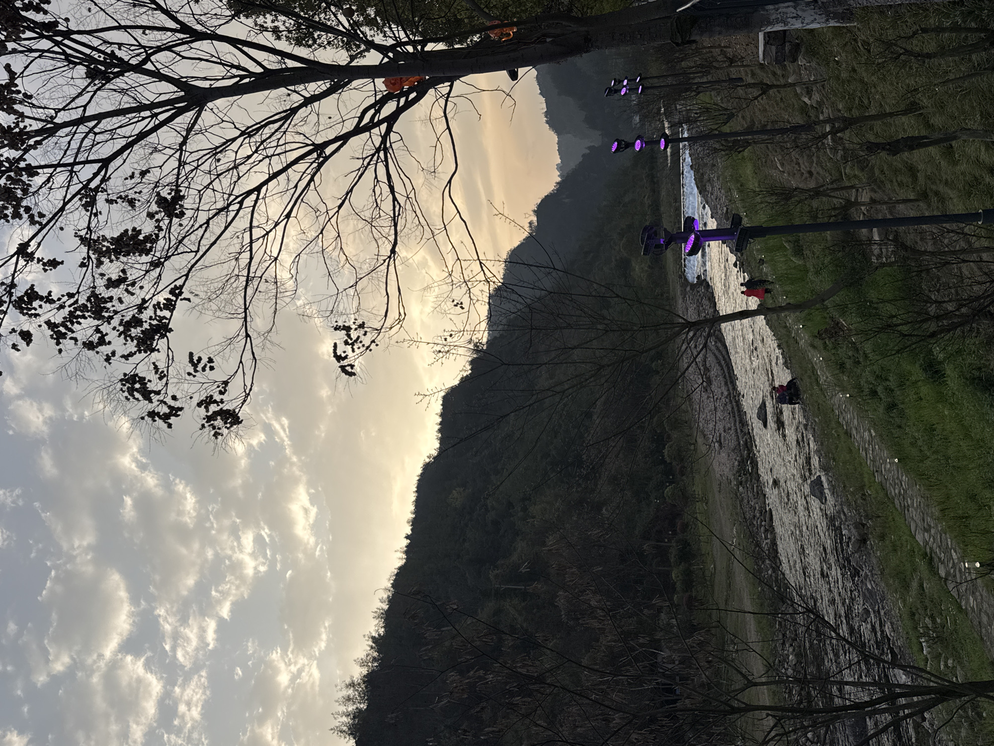 The image depicts a twilight scene in Wulingyuan, China, along a river flowing through a mountainous valley. The sky displays scattered altocumulus clouds illuminated by a pale golden light of a setting sun. The background is dominated by a dark, heavily forested mountain range.
In the mid-ground, a river flows from left to right, characterized by rapids and a small, horizontal weir or waterfall section. Its banks are rocky, with a narrow, paved stone path running parallel to the water on the right side. This path is bordered by a grassy slope.
Several individuals are present near the river. Two figures are seated on a large rock at the river's edge on the left side of the riverbank. Further downstream, two additional figures walk along the riverbank path, one prominently wearing a bright red garment.
The foreground on the right is occupied by the silhouettes of several deciduous trees with bare branches, some retaining dark seed pods or dried leaves. Attached to one of these trees are orange, lantern-like decorations. A series of tall, dark poles line the riverbank, each equipped with multiple upward-facing purple floodlights, some actively emitting purple illumination. The overall scene suggests a prepared scenic area with artificial lighting.