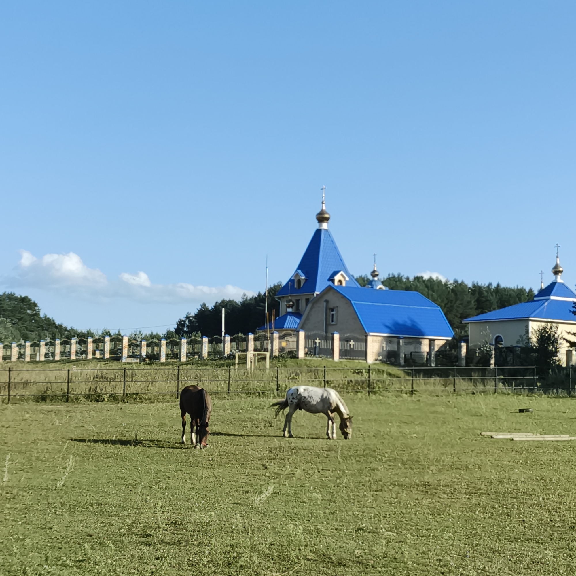 This media file depicts a serene rural scene in Chaikovsky, Russia. The main subjects are two horses grazing peacefully in a sunlit grassy field. Behind them, a fence separates the field from the background, where two distinct buildings with vibrant blue roofs and golden domes stand out against a backdrop of lush green trees. These buildings appear to be churches, indicated by their architectural style and the crosses atop their domes.
The time of day is clearly daytime, with bright sunlight casting shadows and illuminating the landscape, suggesting fair weather. The clear blue sky with a few scattered white clouds further reinforces this impression. The overall atmosphere is tranquil and idyllic, evoking a sense of peace and natural beauty. The presence of the fence and the organized appearance of the churches suggest a maintained, possibly monastic or community, setting. There is no visible text in the image.