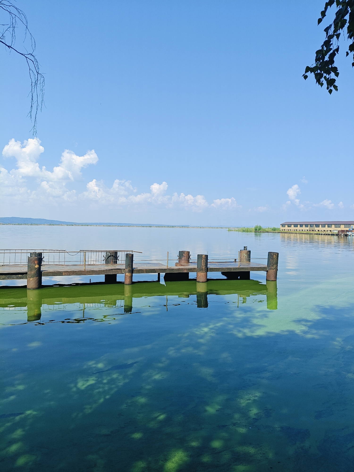 A wide shot captures a calm, clear lake under a bright blue sky with scattered white clouds. In the foreground, a weathered wooden dock with metal railings extends into the water. The dock is supported by thick, dark pilings. The shallow, greenish water reveals the lakebed beneath, with patterns of light and shadow reflecting from the sky and dock. In the distance, a long, low building with a brown roof sits on the far shore, flanked by reeds and trees. The scene is serene and natural, with a touch of man-made structure.