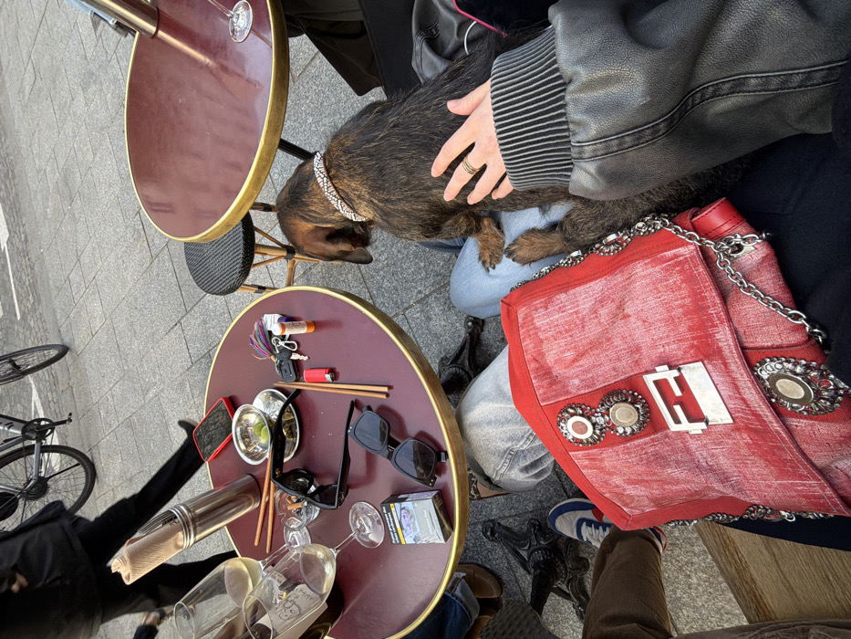The image presents an overhead view of an outdoor café scene situated on a paved sidewalk in Paris, France. In the immediate foreground, a person's hand, wearing two rings on the ring finger and a black ribbed cuff, gently touches the back of a dark brown, brindle-patterned dog with floppy ears, wearing a sparkly, studded collar. The dog is seated on the lap of an individual whose light blue jeans and a blue and white sneaker are partially visible. Resting on the same lap is a red Fendi handbag featuring a metallic "FF" clasp, decorative silver embellishments, and a chain strap.
To the left, a round café table with a dark red top and gold rim holds various items: two glasses containing white wine, a clear bottle of white wine, a small silver bowl filled with green olives, a clear glass ashtray with a cigarette butt, a blue and white Marlboro cigarette pack, two pairs of dark sunglasses, a red lighter, a keyring with multiple keys and a small white cylindrical object, two wooden chopsticks, a red smartphone placed face down, and a silver container holding brown paper napkins.
To the right, a portion of another identical dark red café table with a single empty wine glass is visible. A small, black woven stool is positioned between the two tables. In the upper left background, a person wearing dark clothing walks on the gray square-paved sidewalk, partially obscured by a dark bicycle. Another person's legs, clad in brown trousers and dark shoes, are discernible beneath the main café table on the left.