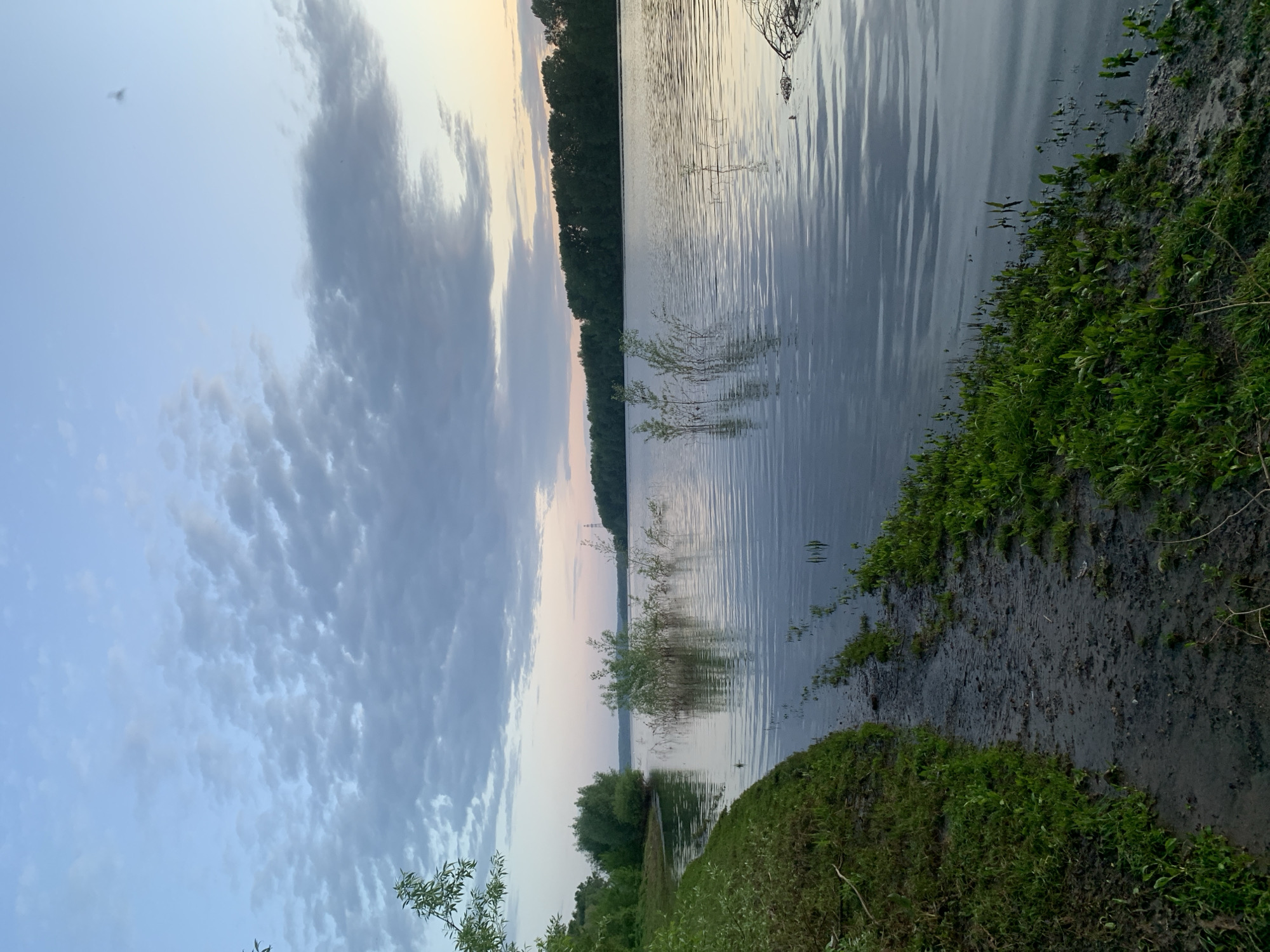 The image shows a body of water, likely a lake or river, at dusk. The sky is filled with clouds with a pinkish-yellow hue near the horizon. The water has gentle ripples on its surface. A line of trees borders the water on one side. In the foreground, there is a muddy bank covered with green vegetation. There is no clear indication of the location being specifically in Chaikovsky, Russia, without further context. No people or animals are apparent in the scene.
