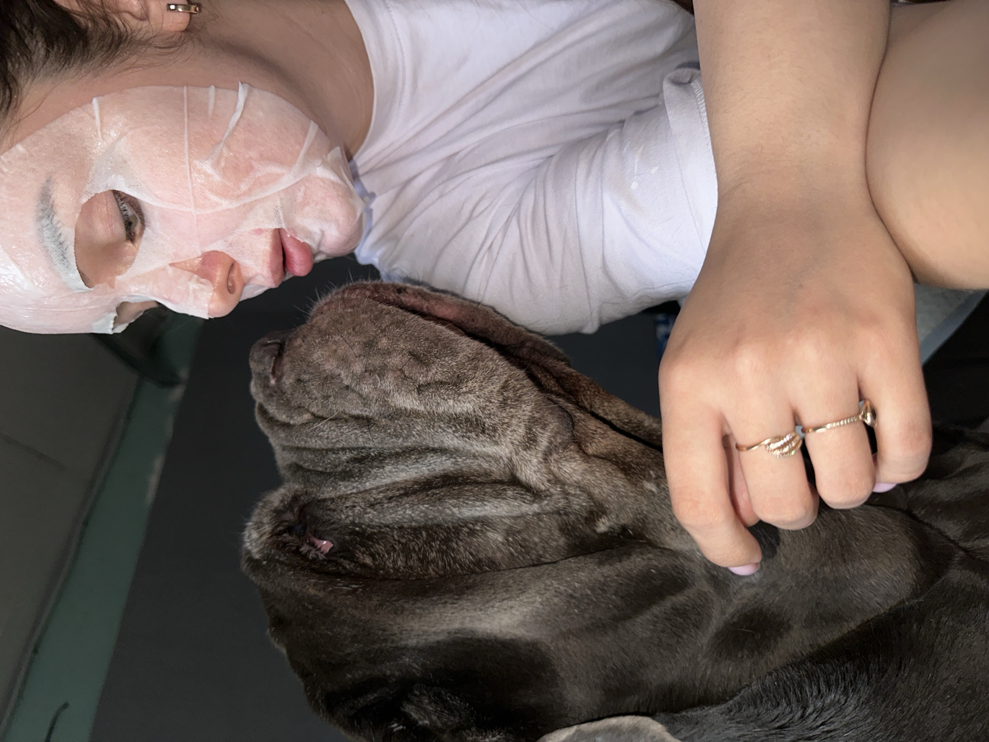 A woman with a facial mask is shown in close proximity to a large, gray Shar-Pei dog. The woman is wearing a white t-shirt. She has two rings on her fingers. The scene's location in Ludorvay, Russia, is unspecified and cannot be determined from the image.