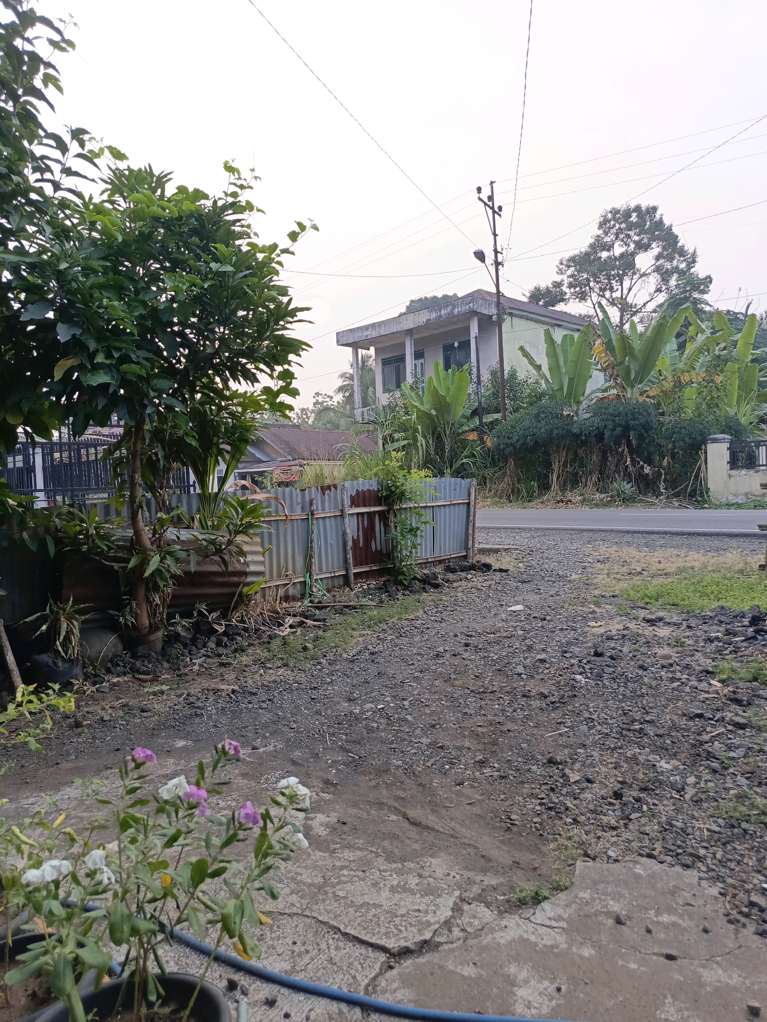 The image depicts a view of a street in Ulak Tanding, Indonesia, during daylight. In the foreground, a paved area transitions into a gravel path. Several potted plants with small pink and white flowers are visible on the left. A large tree with dense green foliage dominates the left side of the frame. To the right, a corrugated metal fence runs along the edge of the property, with some dry vegetation and debris around it. Beyond the fence, a road runs horizontally across the image, with a light-colored building and a utility pole visible in the distance. The sky is overcast.
