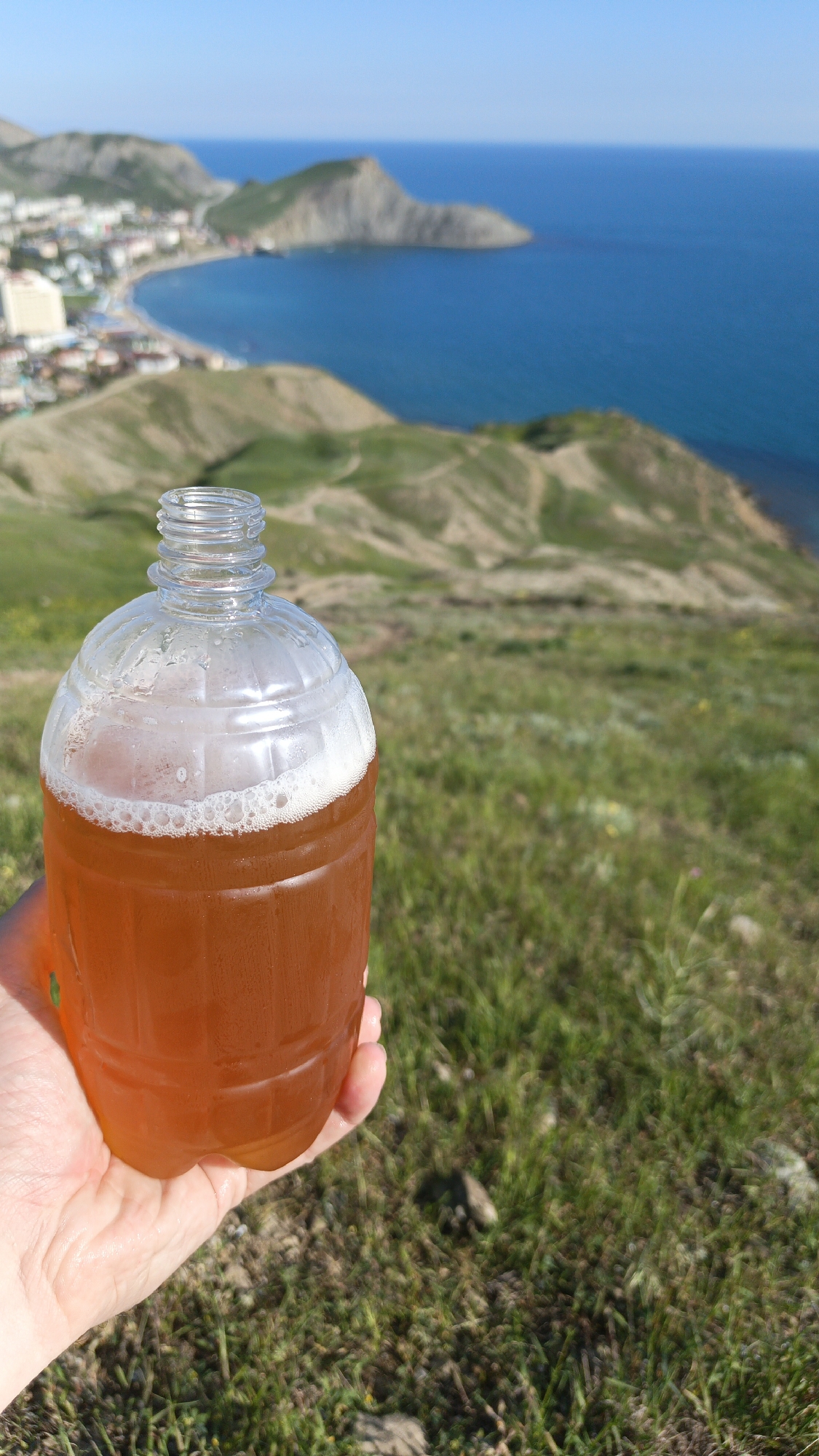 A person's hand holds a plastic bottle filled with an amber liquid, possibly beer or kombucha, with a foamy top. The background consists of a scenic view including green hills, the coastline with a town, and the blue sea. The specific location is unknown. The focus of the image is primarily on the hand and bottle, with the background providing context.
