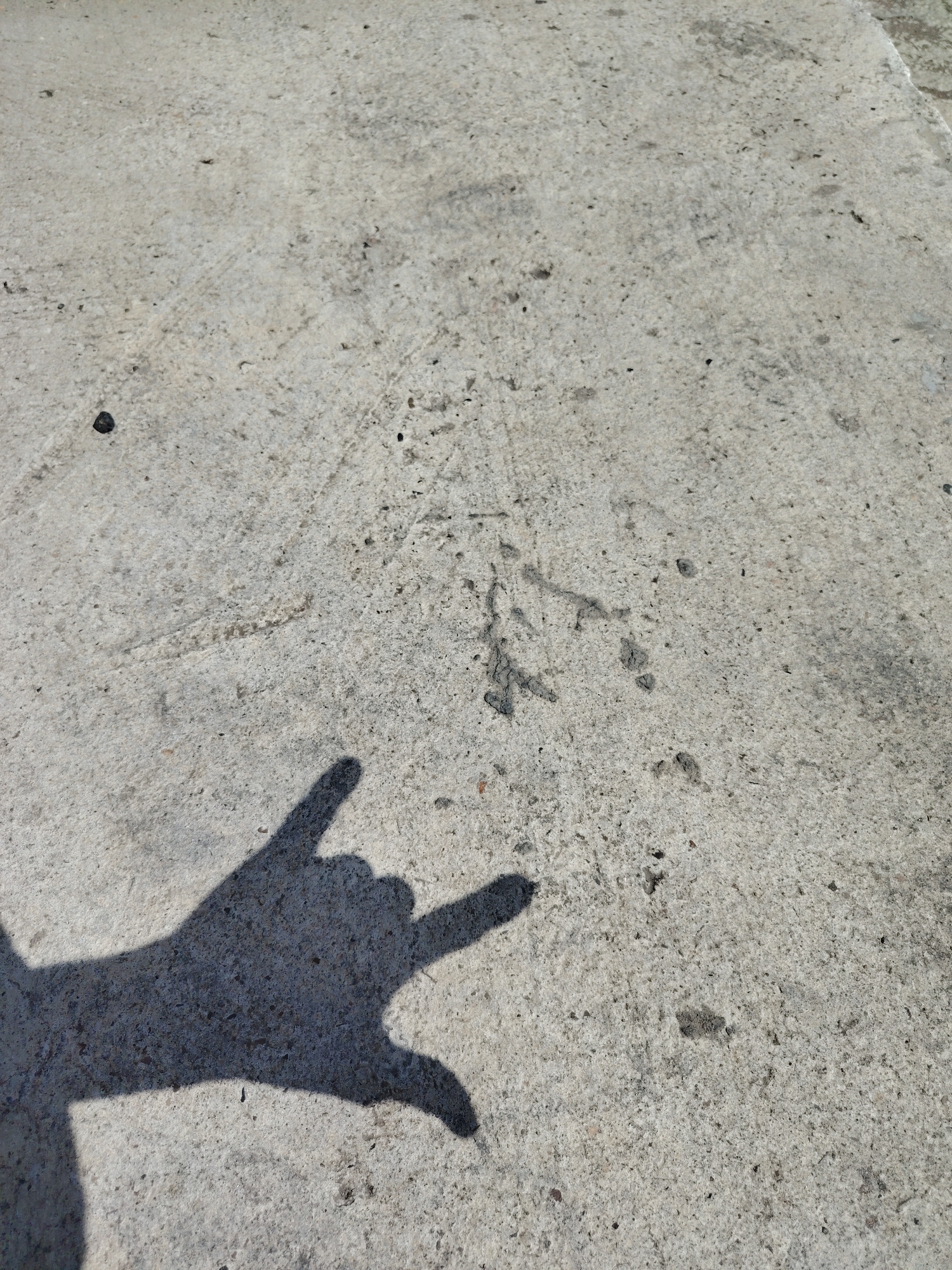 A shadow of a hand in the "rock on" gesture is cast on a concrete surface. The concrete is light gray with visible aggregate and some dark spots and debris. The shadow is dark and clearly defined, with the thumb tucked in and the index and pinky fingers extended. The image appears to be taken outdoors, likely on a sunny day, given the distinct shadow. The specific location in Noviy, Russia cannot be determined from the visual information provided.