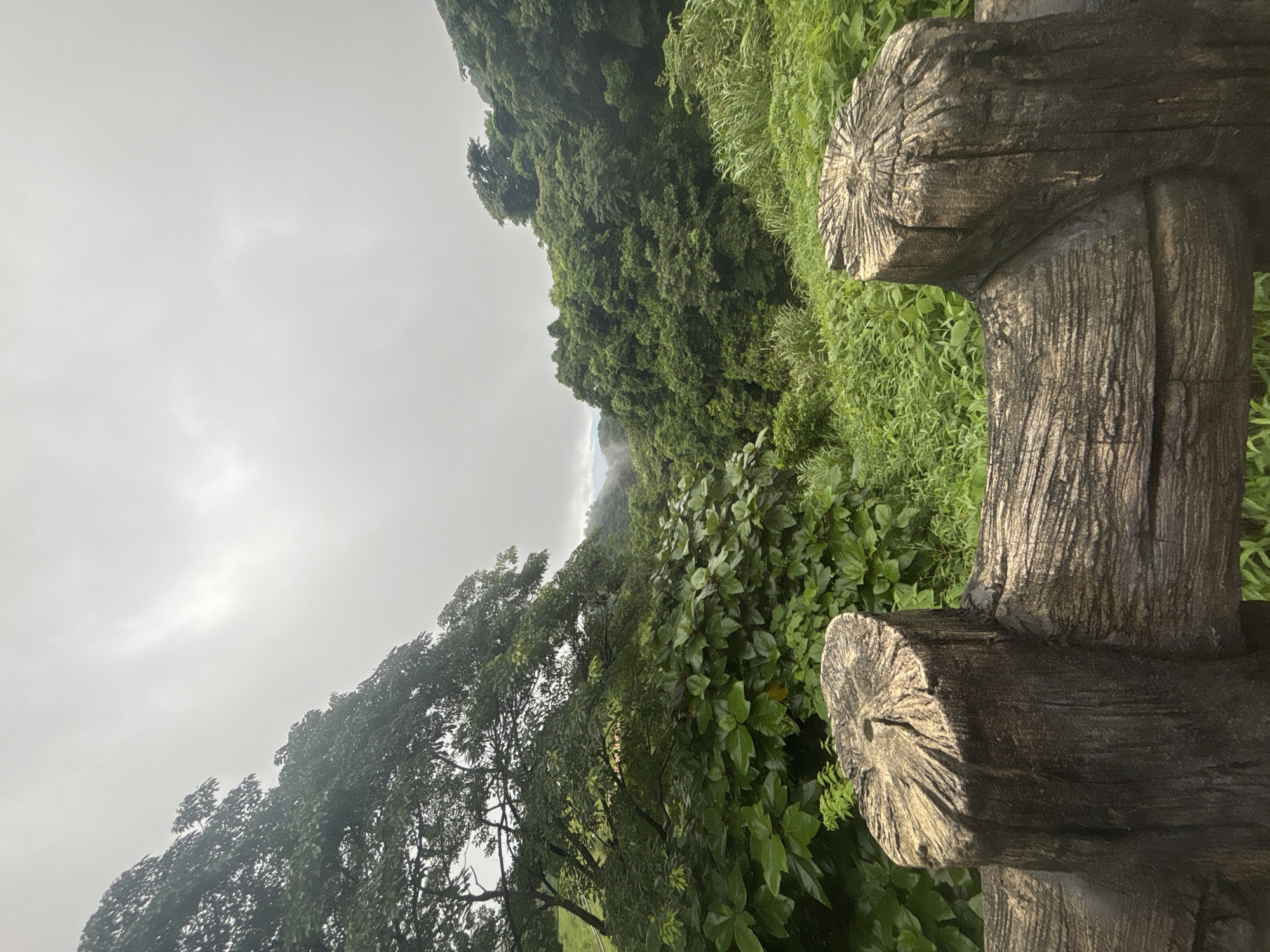 The image shows a lush, green forest with a cloudy sky. In the foreground, there is a wooden railing that appears to be weathered. The railing is made of thick, rough-hewn logs, with one log cut vertically to form a post and another horizontally attached. The forest is dense with a variety of trees and foliage, suggesting a natural or park-like setting. The scene conveys a sense of tranquility and the beauty of nature. There are no people visible in the image. This scene is likely located in a park or natural reserve within Guangzhou City, China, possibly one known for its dense vegetation and elevated viewpoints.