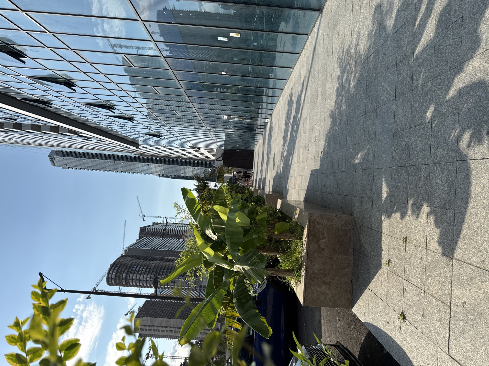 The image depicts a sunny day in Batumi, Georgia, focusing on a modern urban street scene. The foreground shows a grey tiled sidewalk with scattered small green plants pushing through the grout lines. To the left, a dark blue car is parked on the asphalt, partially visible. Beyond the sidewalk, a rectangular planter box contains lush green banana plants, their large leaves casting shadows. Behind the planter box, more foliage and a black lamppost are visible.
The midground is dominated by a contemporary building with a facade of large, reflective blue glass windows, many of which are open at an angle. The reflections in the windows show other buildings and the sky. To the left of this building, a slender, tall skyscraper is visible, also with reflective windows. In the background, several other tall buildings are under construction, with cranes clearly visible against the clear blue sky.
A few people are visible further down the sidewalk to the left, walking away from the camera. The overall impression is one of ongoing urban development in a coastal city.
