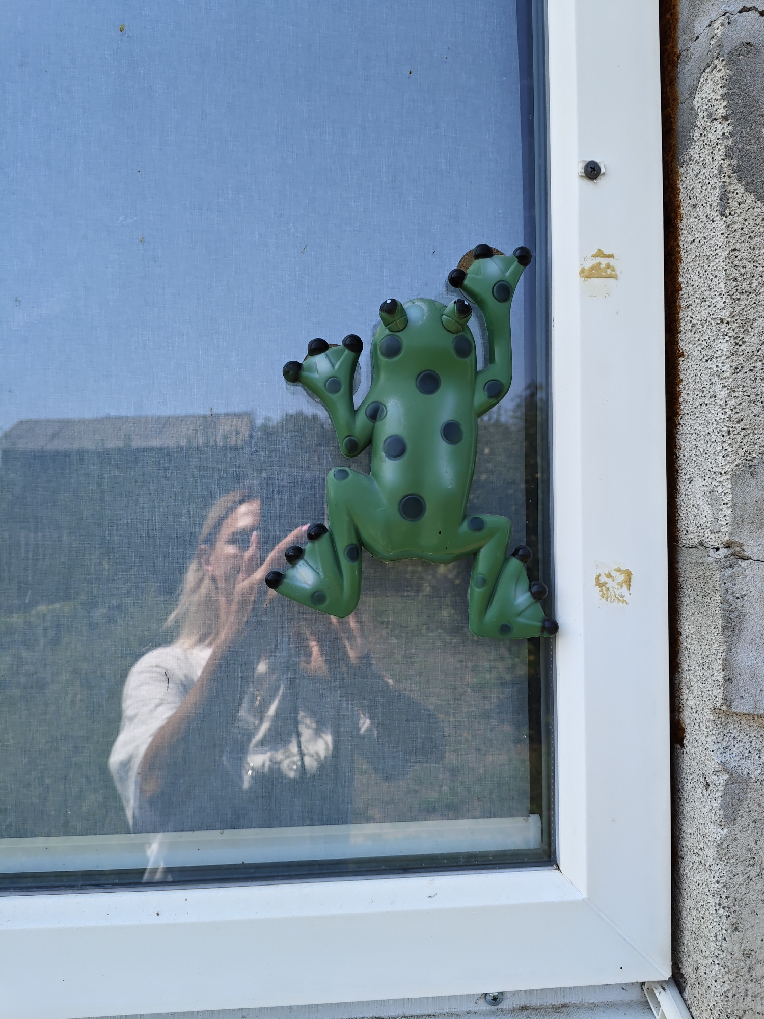 A green plastic frog decoration with black spots is attached to a white window frame. The frog is positioned as if climbing. In the reflection on the windowpane, a person is visible taking the photo, holding up their phone. The background outside the window shows greenery and a building. The exterior wall of the building, to the right of the window, is made of grey, rough concrete.