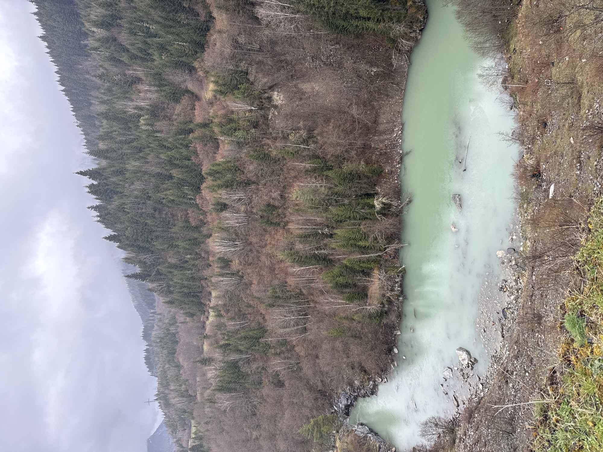 A landscape view, likely taken from a high vantage point, shows a river valley in a mountainous region. The river, which appears milky green, flows through the center of the scene. Dense evergreen trees cover the left side of the image. The ground on the right side of the river appears rocky. The sky is overcast. The location is consistent with the area around Mestia, Georgia, a mountainous region characterized by river valleys and dense forests.