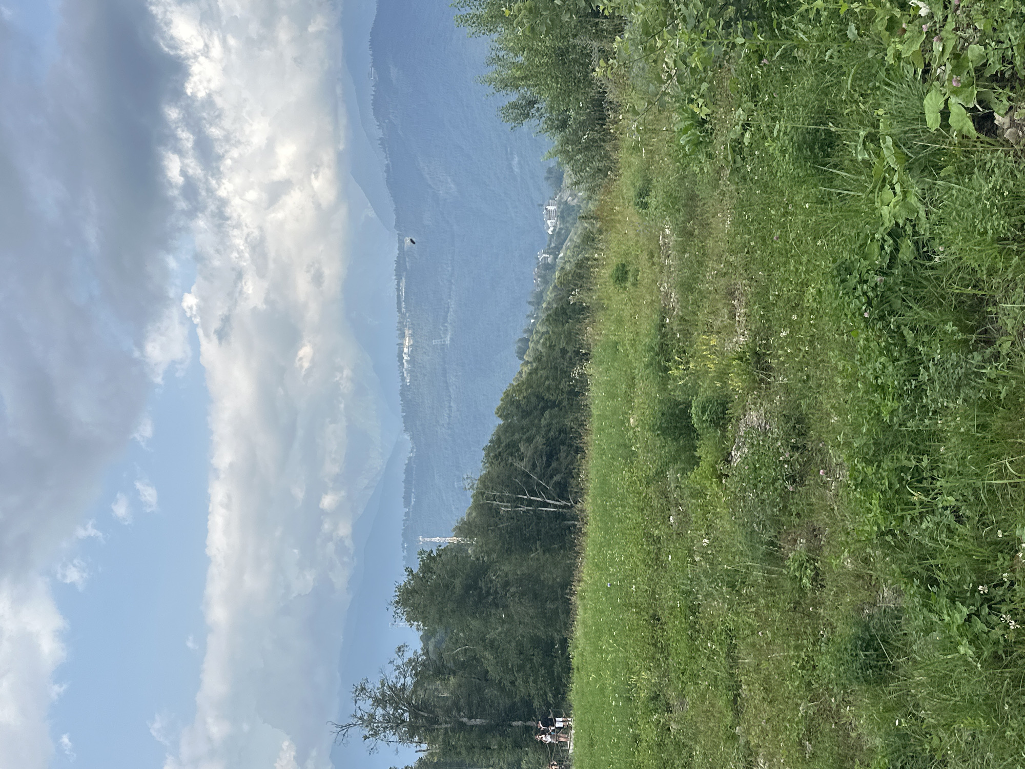 This is a vertical, eye-level, full shot of a grassy slope with mountains in the background. The sky is cloudy and overcast. In the foreground, the grass is lush and green, with some wildflowers scattered throughout. In the middle ground, there is a line of trees, and further back, there are more mountains. On the left side of the image, there are a few people standing on a path. The scene appears to be in Estosadok, Russia.