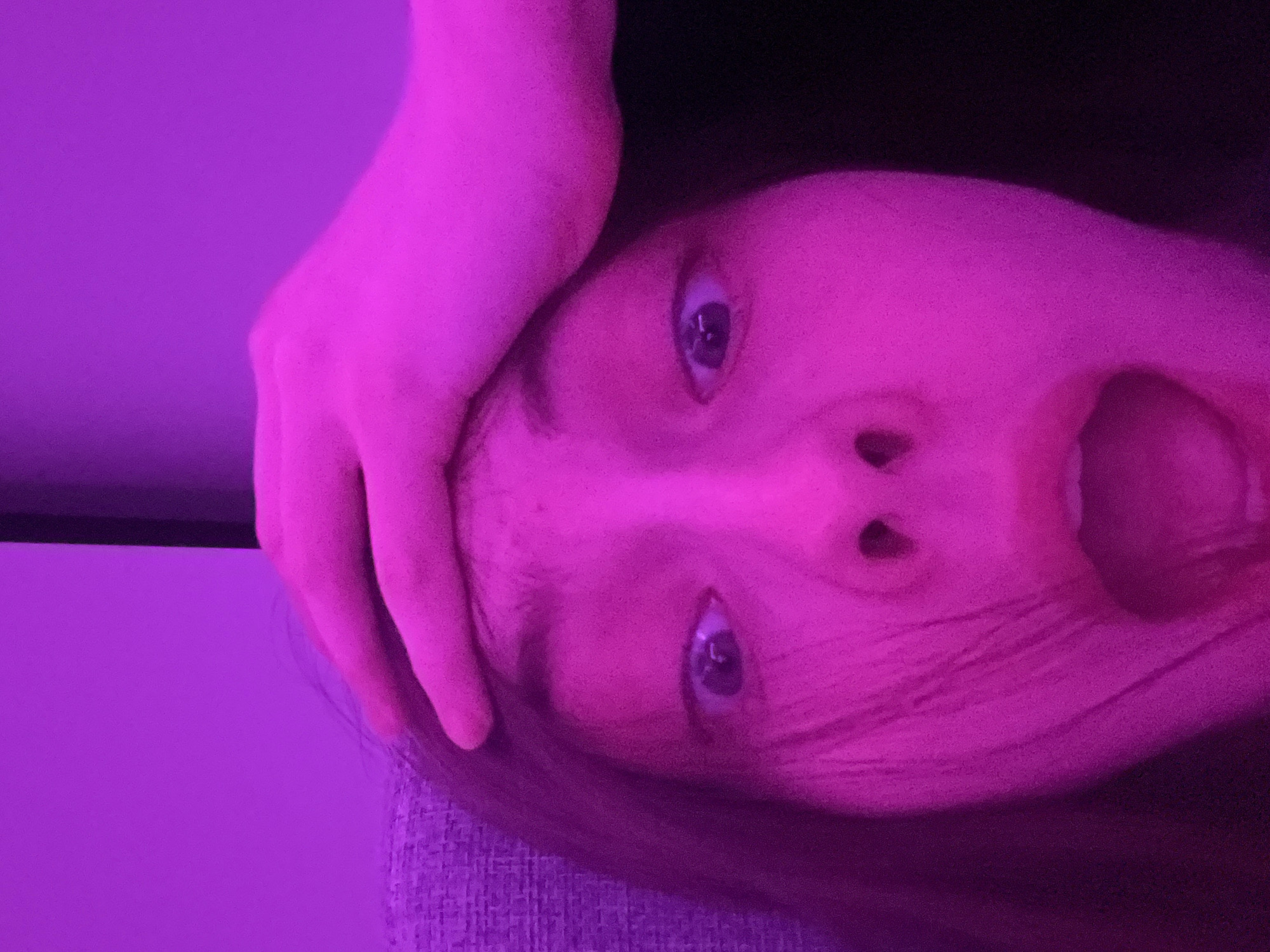 A close-up, rotated portrait shows a person's face bathed entirely in vibrant purple and magenta light. The individual's head is tilted horizontally, with their wide-open eyes looking directly at the viewer. Their mouth is agape, revealing teeth, suggesting an expression of surprise, a gasp, or a shout. A hand, also intensely colored by the purple light, is placed on the left side of their head, covering the temple or upper forehead. The background is a plain surface or wall, uniformly illuminated in the same strong purple hue, indicating an indoor setting with artificial mood lighting. The heavy color saturation makes it challenging to discern natural skin tones or precise emotional nuances, creating a dramatic and somewhat surreal atmosphere. No text is visible in the image. The external context places the image's origin in Saint Petersburg, Russia, though no specific visual cues within the photo confirm this location.