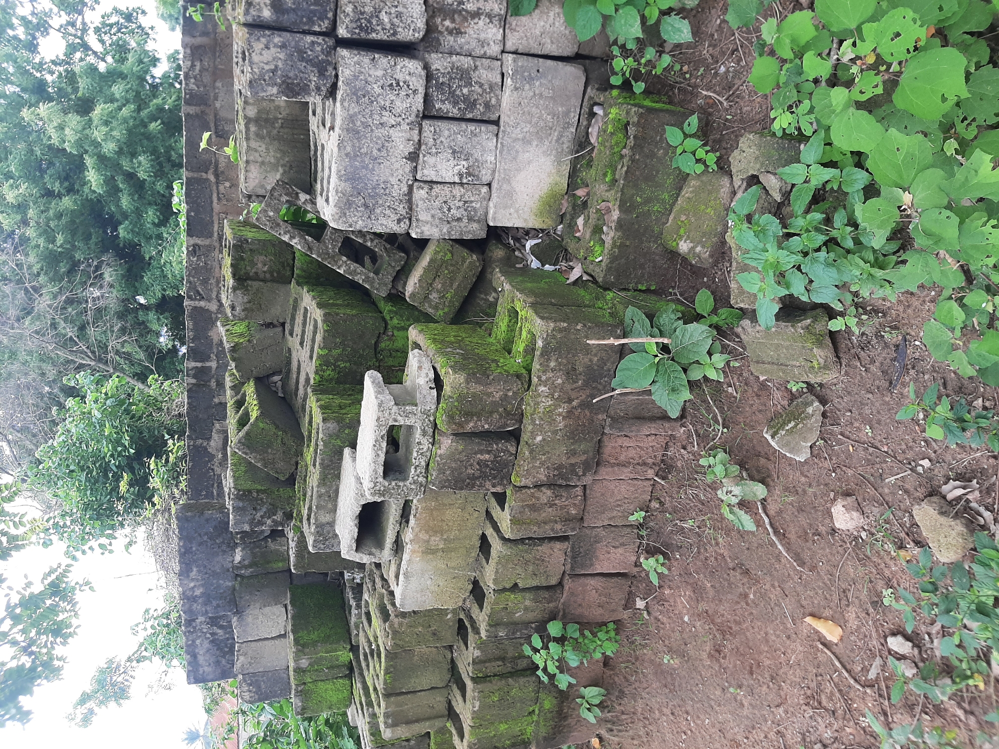 A pile of weathered concrete blocks, some covered in green moss, is stacked in an outdoor area. The blocks are of various sizes and shapes, and many of them are hollow. The ground around the blocks is covered in dirt, fallen leaves, and sparse green vegetation. In the background, there are trees and a hint of a building with a red roof, suggesting a semi-urban or rural setting within Ogbomosho, Nigeria. The lighting indicates it is daytime. There are no people or animals visible in the image.