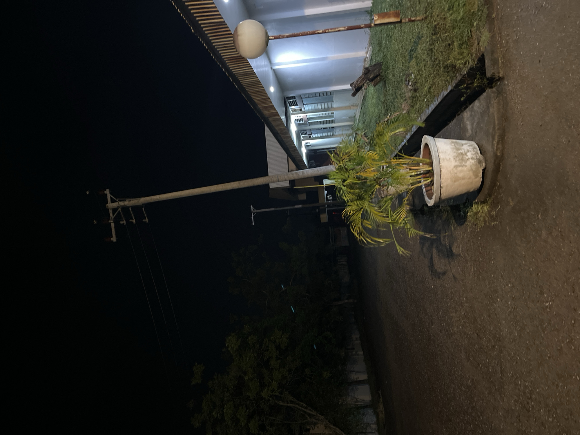 The image captures a nighttime scene on a paved road in Lhokseumawe, Indonesia. To the left, several trees with dense foliage line the road, casting shadows on the dark, wet pavement. In the foreground, a large, light-colored concrete planter holds a bushy palm plant with green and yellow fronds. The planter is situated on a concrete curb next to a grassy area. A utility pole with multiple wires extends diagonally upwards into the dark sky. To the right, a light-colored building with a corrugated metal roof and windows is visible. A street lamp with a spherical white fixture on a rusted metal pole stands in front of the building. The overall environment appears to be an outdoor area, possibly adjacent to a facility or industrial site, given the presence of the utility pole and building. There are no people or animals visible in the image.