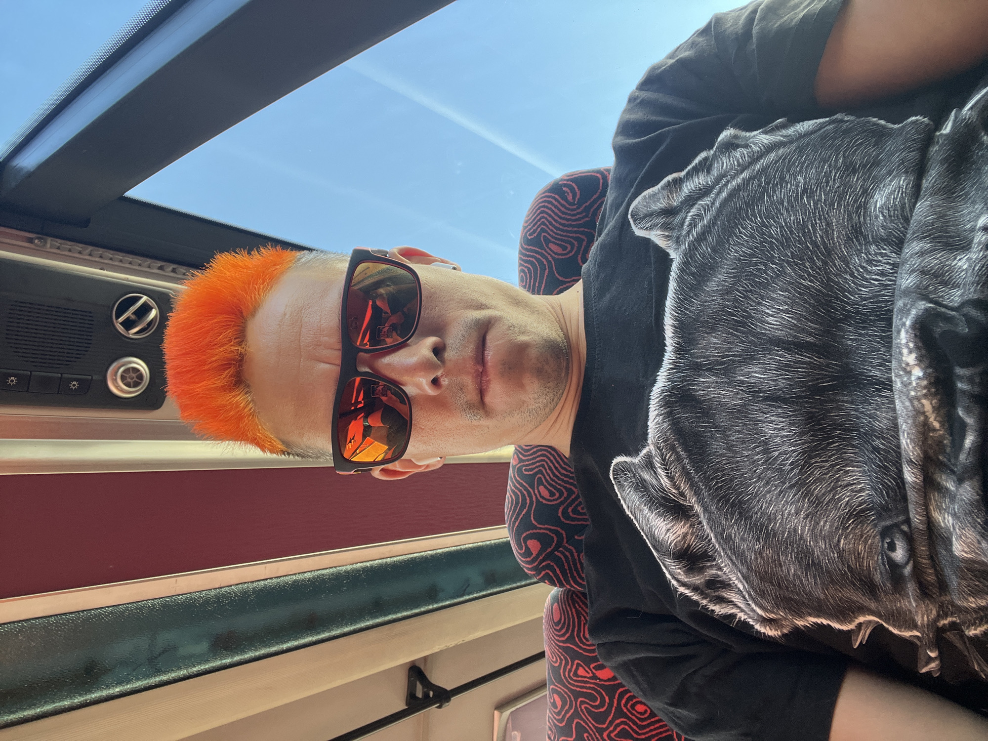 A low-angle selfie depicts a person with orange hair, sunglasses, and a black t-shirt with a graphic of a dog's head, possibly on a train or bus due to the overhead window, control panel, and red-accented paneling. The person is seated on a seat with a red abstract pattern. The location in the city of Chaikovsky, Russia, is not discernible from the image content.