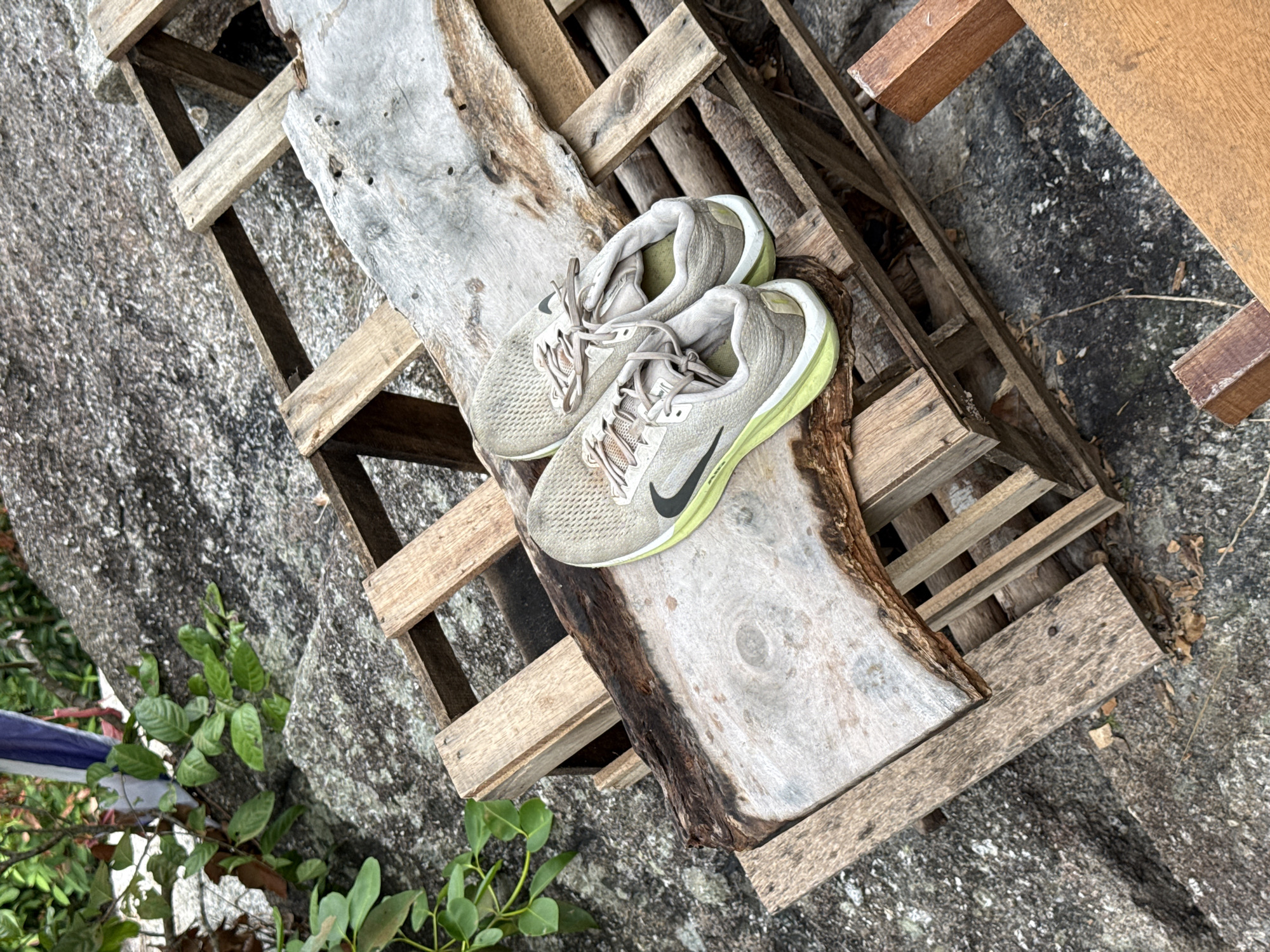 The image shows a pair of light grey and green Nike running shoes resting on a weathered wooden pallet which is on top of a slab of wood on top of a concrete surface in ตำบลเกาะพะงัน, Thailand. The shoes are lace-up with a dark grey Nike swoosh. The wooden pallet has several slats and is in a rustic, aged condition. The slab of wood below the running shoes is unfinished. There is some vegetation visible along the edge of the concrete.