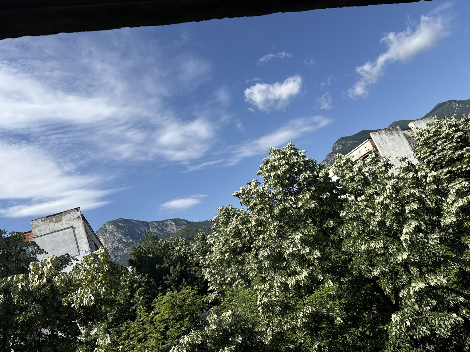The image captures an outdoor daytime scene in Vratsa, Bulgaria, with a view towards the Vratsa Balkan mountain range. The top of the frame is partially obscured by a dark, textured horizontal structure, likely a roof eave or a balcony railing. Above this, the sky is a clear, bright blue with scattered white clouds, ranging from wispy cirrus-like streaks to more defined cumulus formations.
In the background, the rugged and imposing peaks of the Vratsa Balkan mountains are visible, presenting a panorama of dark grey rock and dense green vegetation. In the mid-ground, nestled between the foreground foliage and the mountains, are two multi-story buildings. These structures feature light grey, somewhat weathered facades and prominent angled rooflines, appearing to be constructed from concrete or stucco. Their design is utilitarian, with some areas showing signs of exposure or unfinished surfaces.
The foreground and a significant portion of the mid-ground are dominated by a dense, verdant canopy of trees. Several trees exhibit striking light-colored foliage, appearing almost white or very pale green, which contrasts sharply with the darker green leaves of other surrounding trees. This characteristic could indicate new growth, variegation, or the presence of numerous white blossoms on specific tree species. The entire scene is brightly illuminated by natural sunlight. No individuals, animals, or vehicles are present in the image.