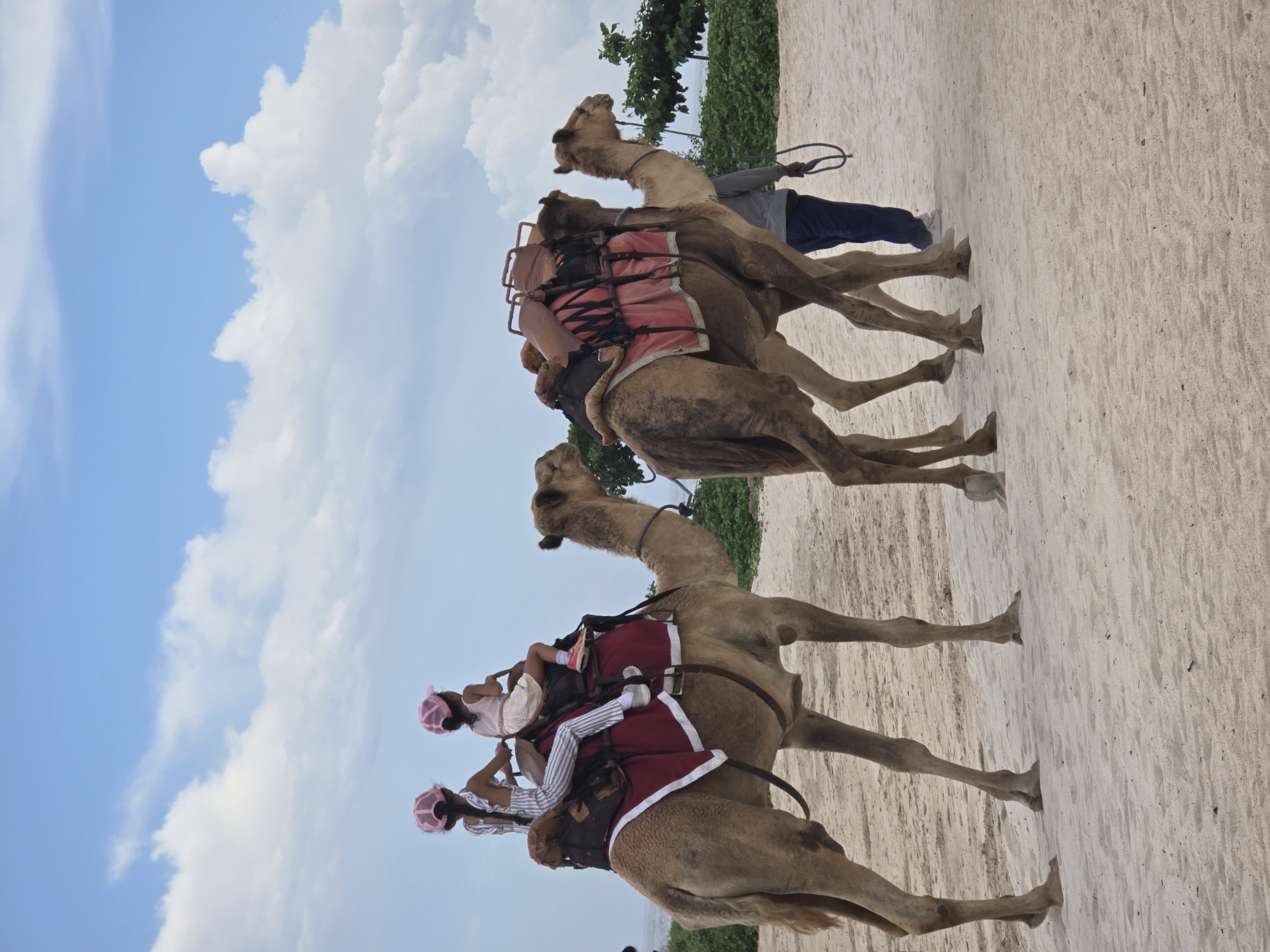 The image shows a line of three camels walking on a sandy beach. The first camel carries two children wearing pink sunhats. The other two camels are ridden by adults. A handler is holding a lead rope for the camels at the rear. The sky is visible with some scattered clouds. The scene is likely on a beach in Nusa Dua, Indonesia.