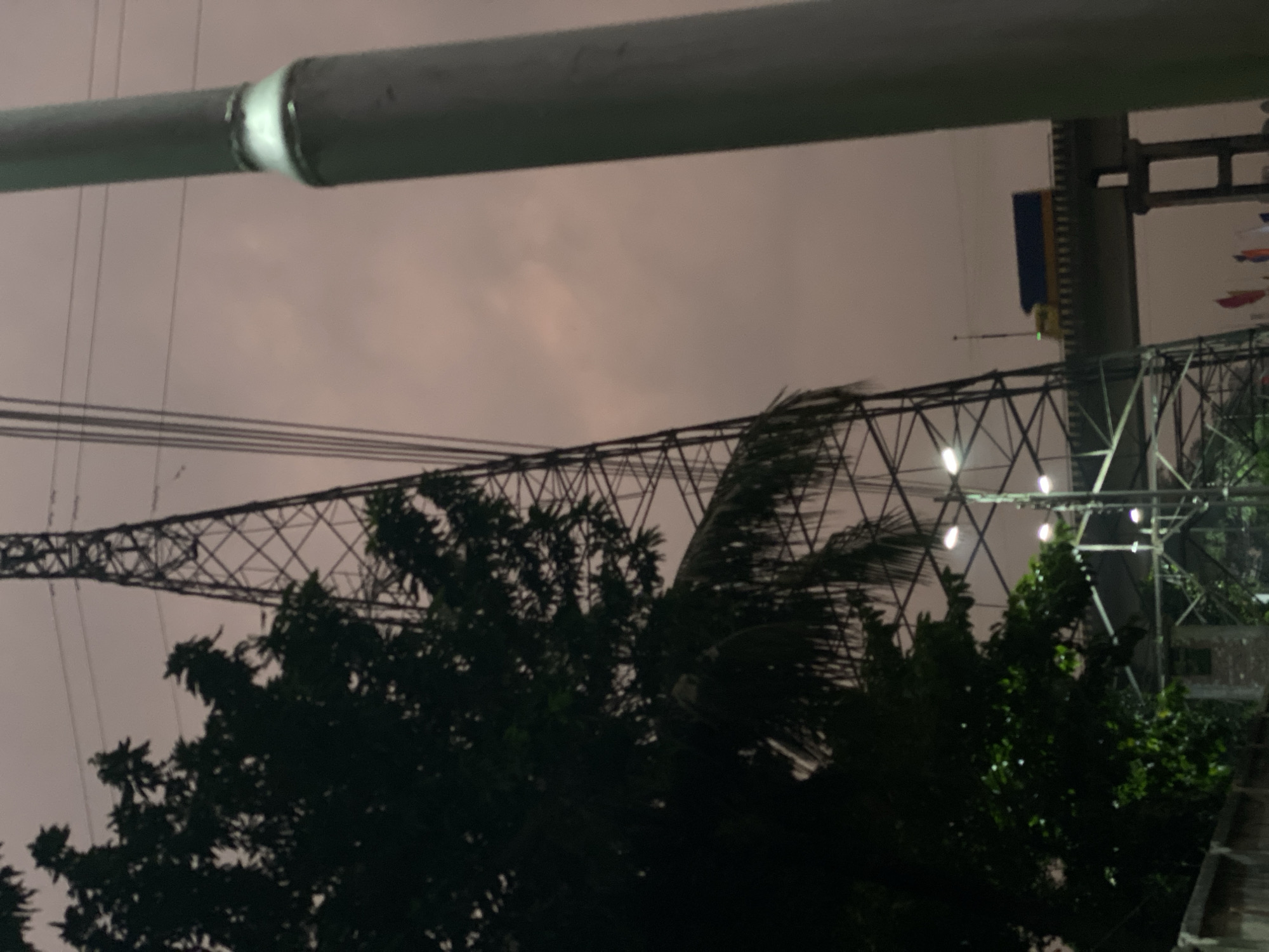 The image shows a nighttime view in Dhaka, Bangladesh, with a focus on infrastructure and vegetation. An overhead power line tower is visible in the background, its metal lattice structure intersecting with the sky. Trees obscure a portion of the view, with their dark green foliage contrasting against the lighter sky. A street light pole is positioned in the foreground of the image, slightly obscuring the view. The sky is overcast. Flags are visible in the background on the far right.