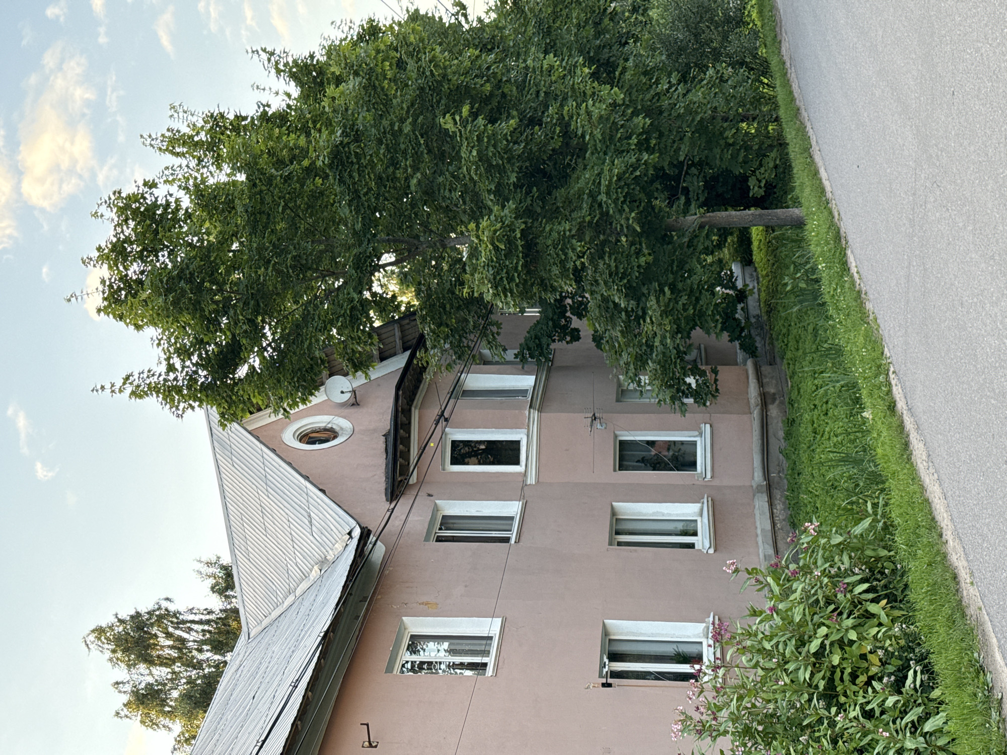 The image shows a two-story building with a salmon-pink facade, located in Pargolovo, Russia. The building has a corrugated metal roof and several white-framed windows on both levels. A large green tree with dense foliage is situated to the right of the building, partially obscuring its right side. In front of the building, there is lush green grass and a bush with pink and white flowers. A paved road runs along the bottom right of the image. The sky above is blue with scattered white clouds. A satellite dish and an antenna are visible on the building's roof. The overall scene depicts a residential building in a natural setting.