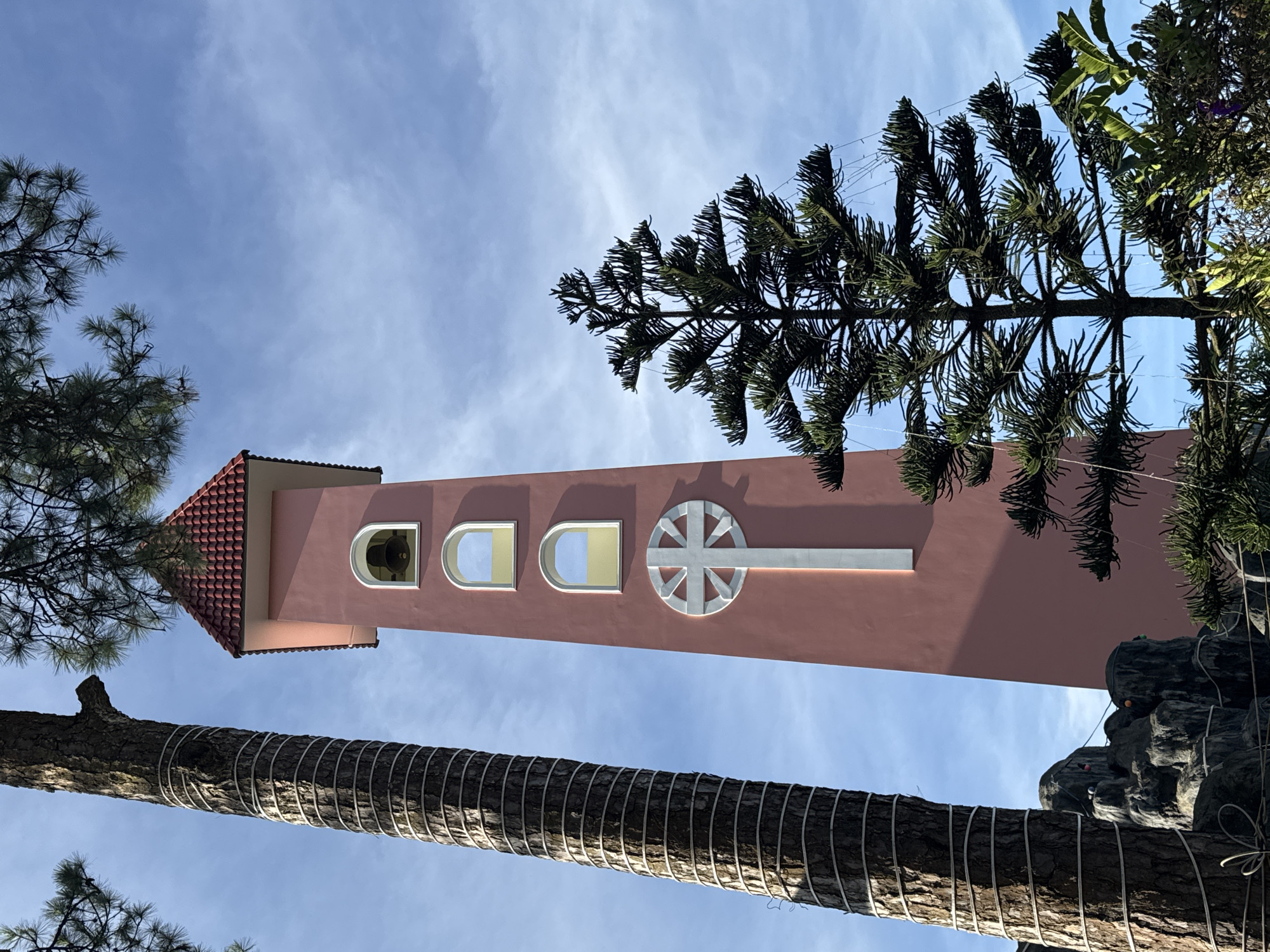 The image features a tall, pink tower with a tiled roof, set against a bright blue sky with scattered clouds. The tower has several arched windows and a decorative circular emblem with spokes. In the foreground, a large tree trunk wraps around the lower portion of the frame, its bark textured and its circumference bound with light-colored bands. Pine branches from trees on either side of the tower partially obscure the view, reaching towards the sky. The scene suggests an outdoor setting, possibly a garden or park, given the presence of trees and rocks visible on the right side of the frame. The lighting indicates it is daytime, likely late morning or early afternoon, with the sun casting subtle shadows. The overall atmosphere appears serene and tranquil. There is no visible text in the image. The location context provided is Đa Thọ, Vietnam.