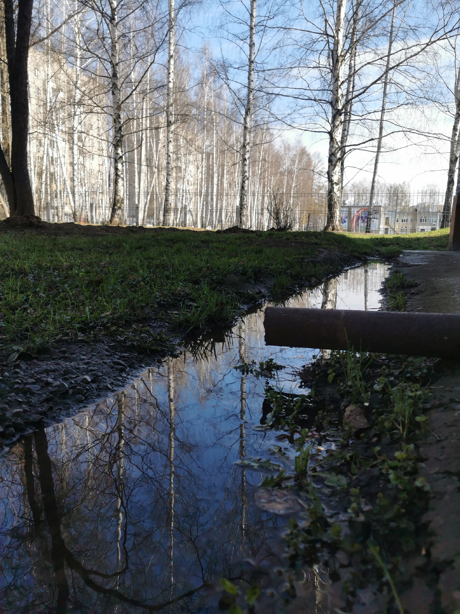 The image depicts a water-filled ditch in a park or grassy area. The water reflects the bare branches of birch trees in the background. A rusted metal pipe extends across the ditch. The ground is covered with patches of grass and mud. Beyond the trees, a fence and some buildings are visible.