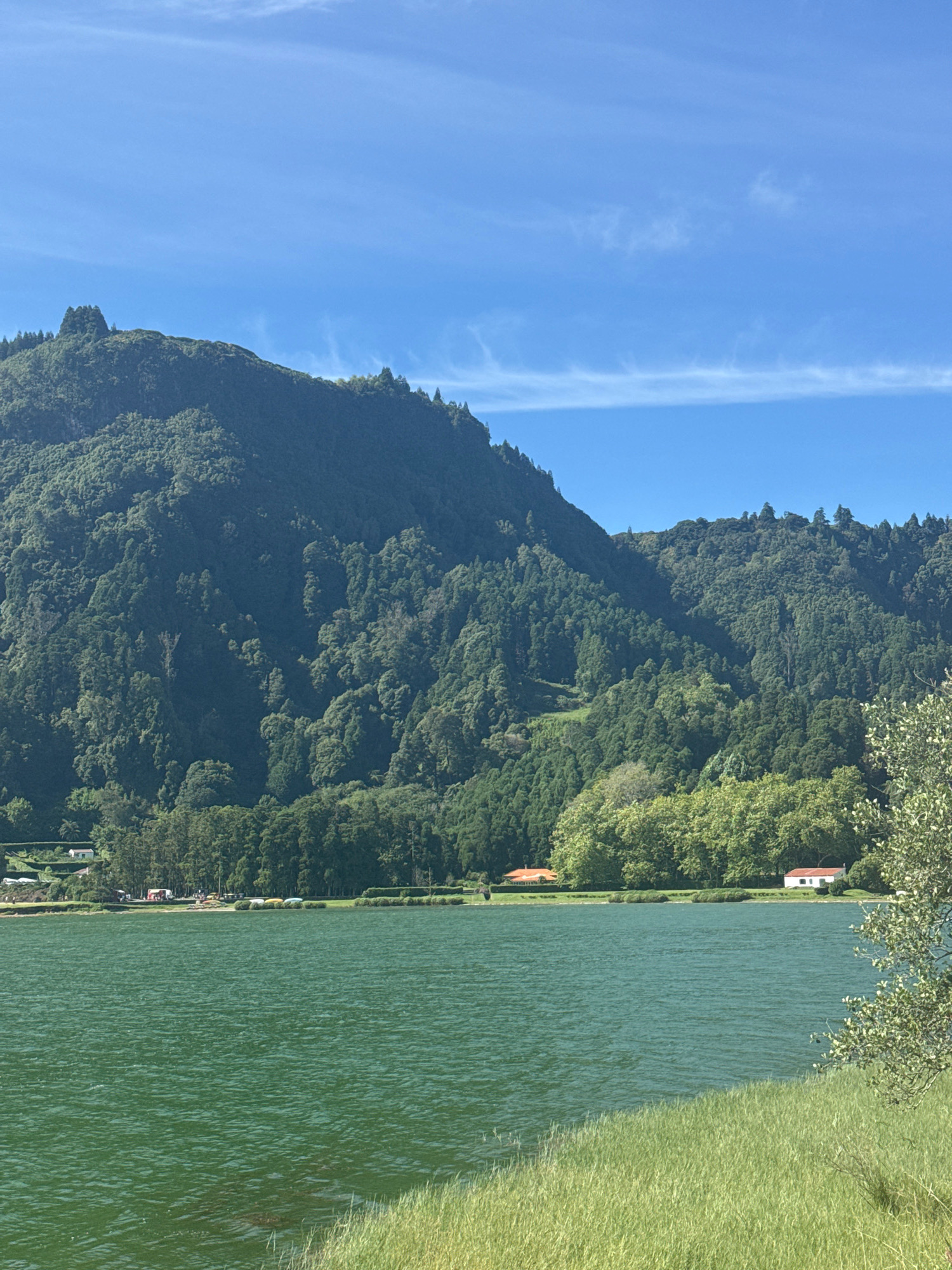 This is a landscape photograph featuring a large, lush green mountain dominating the background. The mountain is densely covered in trees, creating a textured, verdant facade. In the mid-ground, a clear, emerald-green lake stretches across the lower half of the image. Along the lake's edge, there is a line of trees, with a few scattered buildings visible, including a white house with a red-tiled roof and a longer white building with windows. A road runs parallel to the lake, with some vehicles and colorful objects, possibly kayaks or boats, lined up on the shore. In the foreground, a patch of vibrant green grass slopes gently towards the water. The sky above is a bright, clear blue with wispy white clouds. The lighting suggests it is a sunny day.