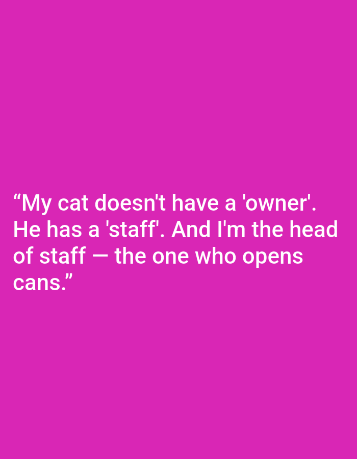 The image is a close-up of a pink background with white text. The text reads: "My cat doesn't have a 'owner'. He has a 'staff'. And I'm the head of staff — the one who opens cans." There are no people, subjects, objects, actions, interactions, or environmental details to describe in the city of Kępno, Poland.